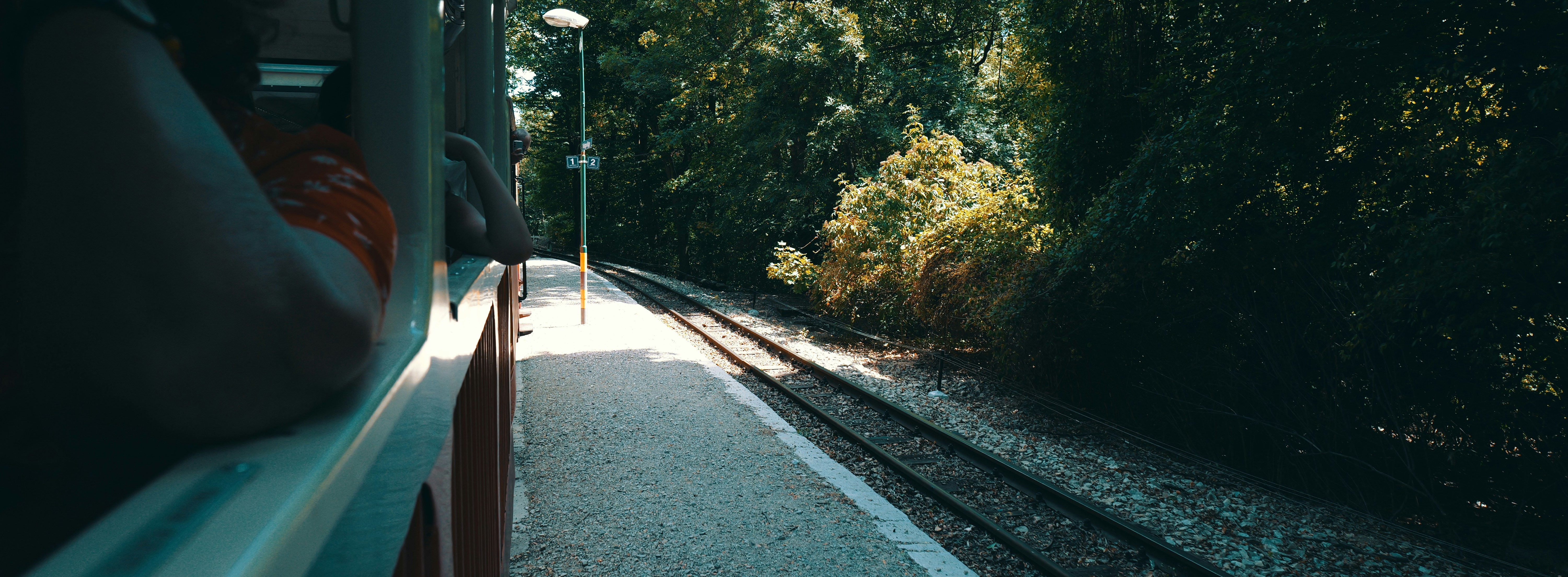 View from a train door along a leafy platform