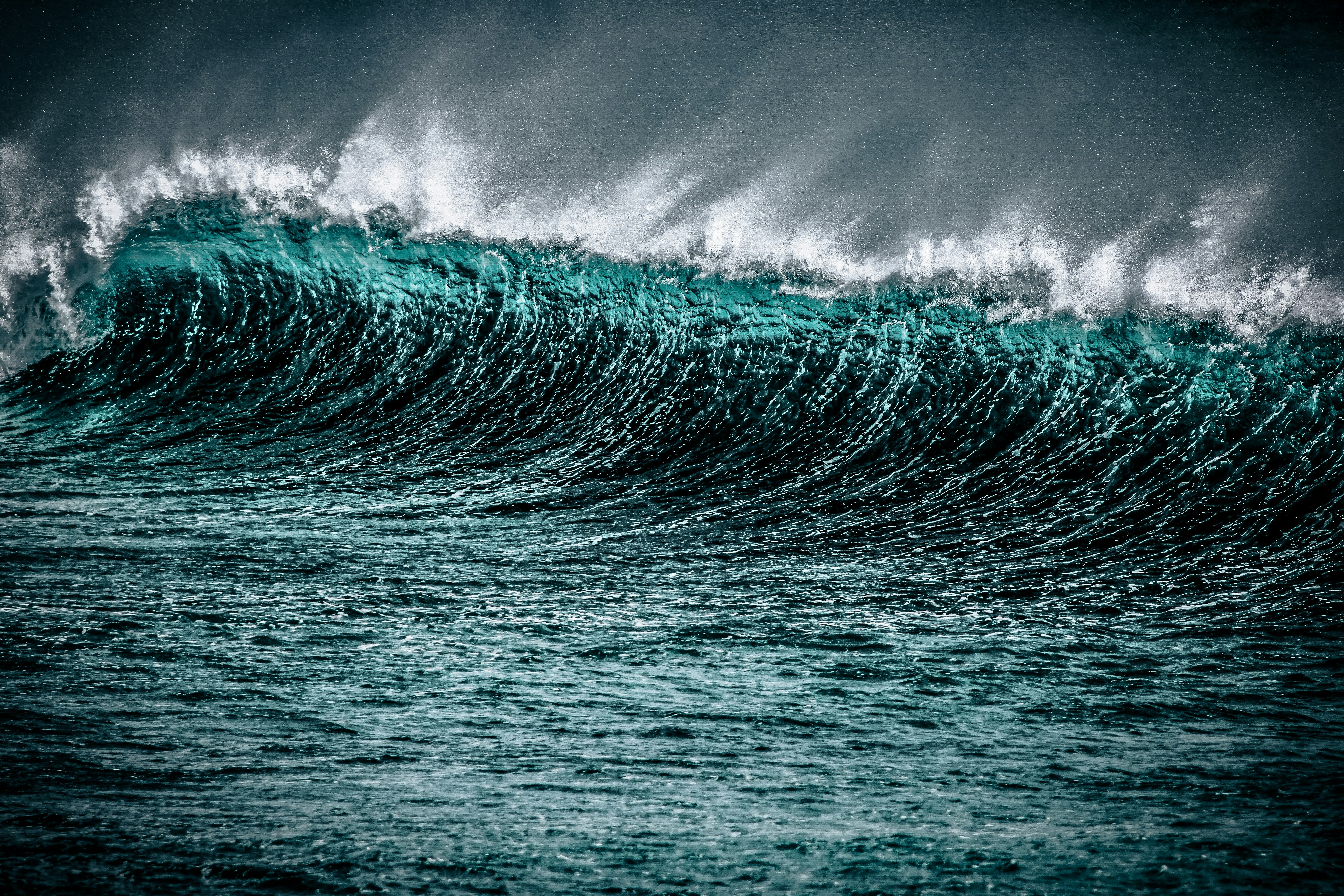 A powerful blue-green ocean wave cresting with white foam