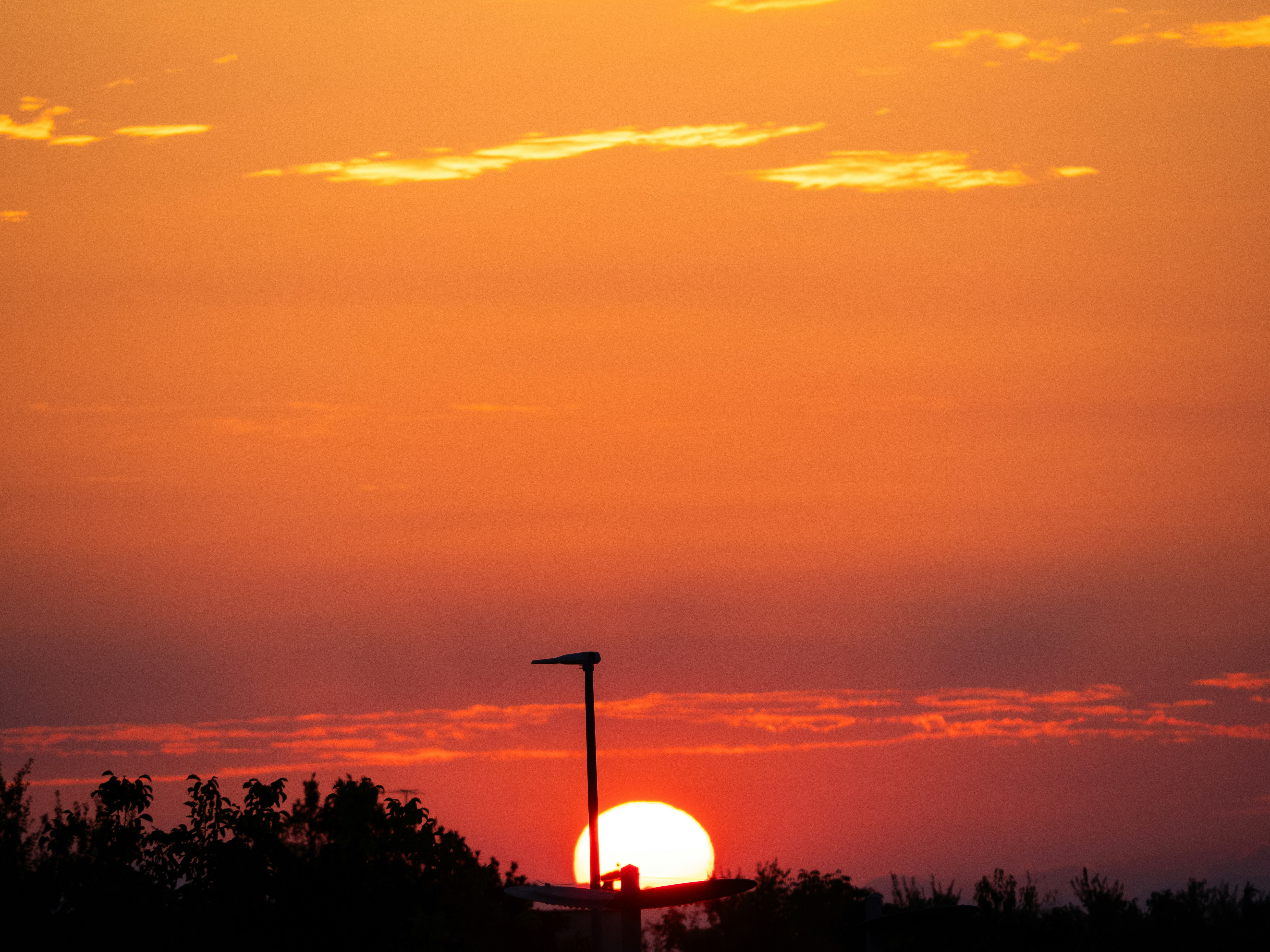 Leuchtend orangefarbener Sonnenuntergang mit Sonnenuntergang über silhouettierten Bäumen.