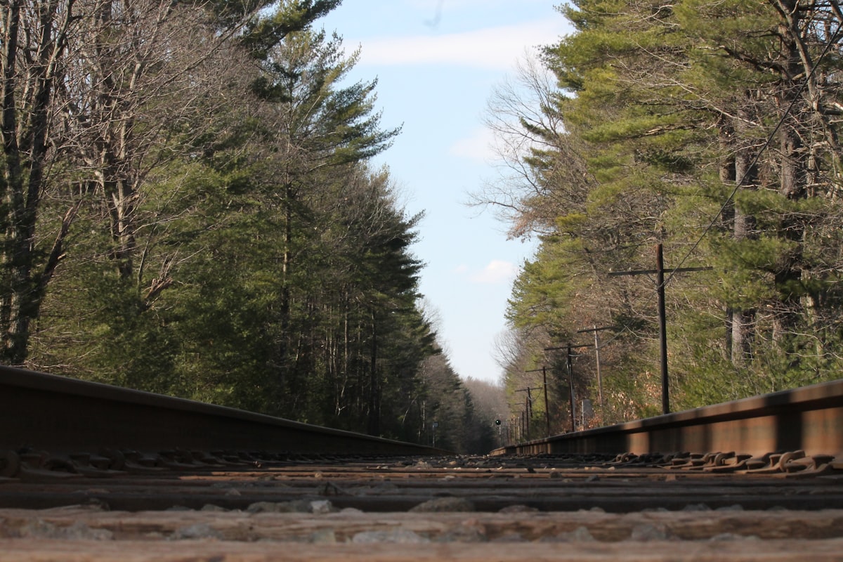 Rail-level view along a straight track lined with tall pines and bare hardwoods under a pale blue sky