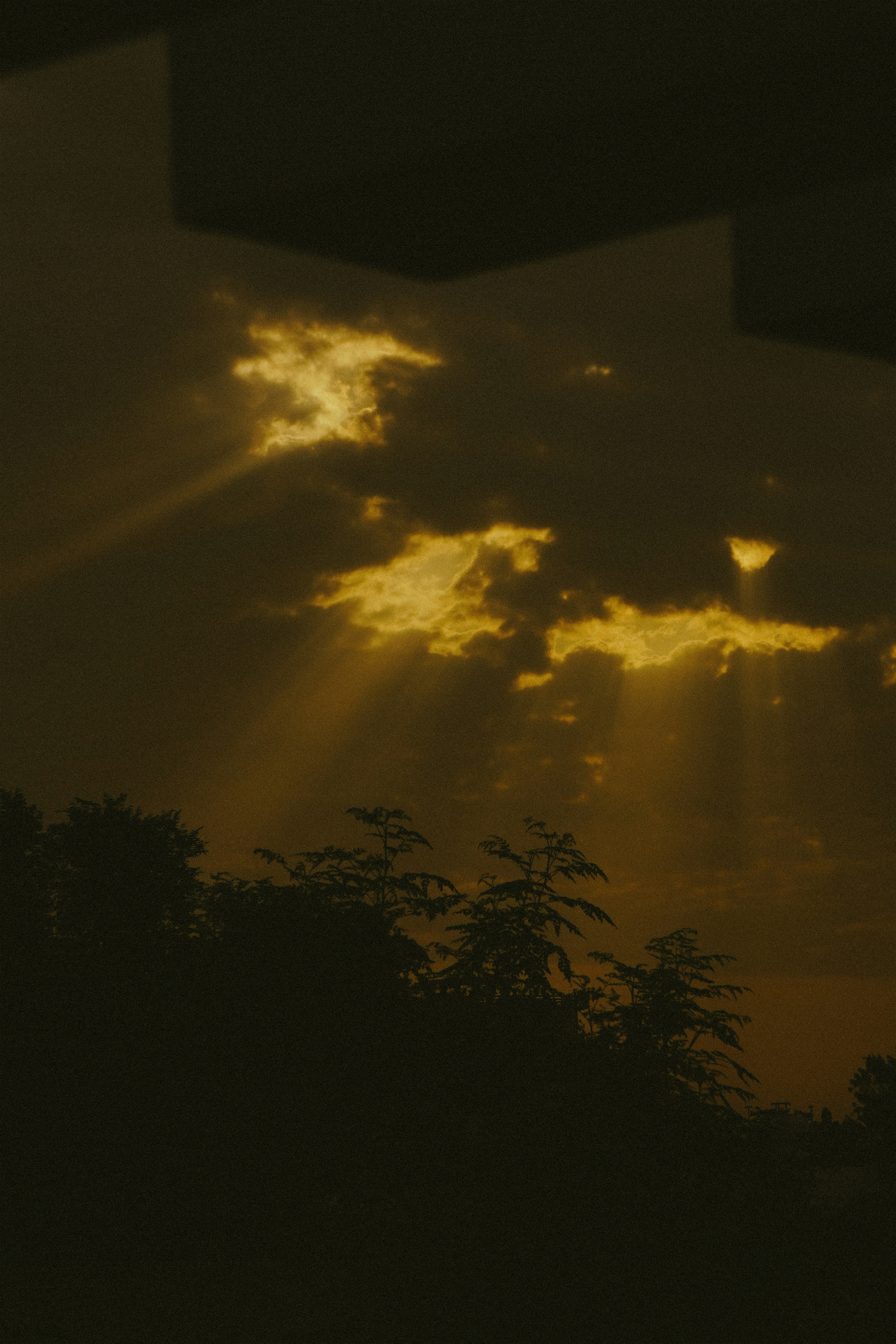 Sun rays pierce through dark clouds above silhouetted trees