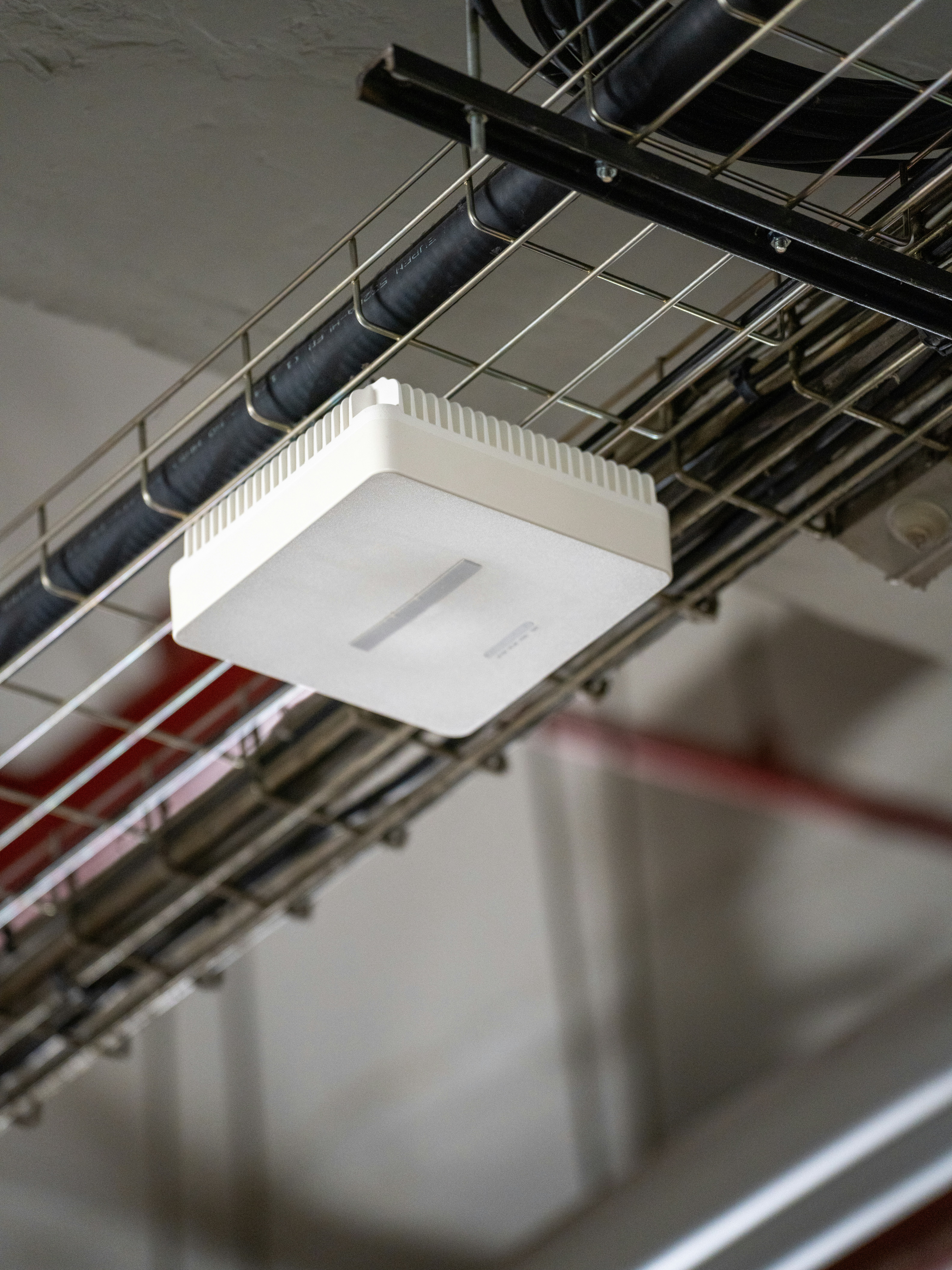 Ceiling-mounted wireless access point on a cable tray