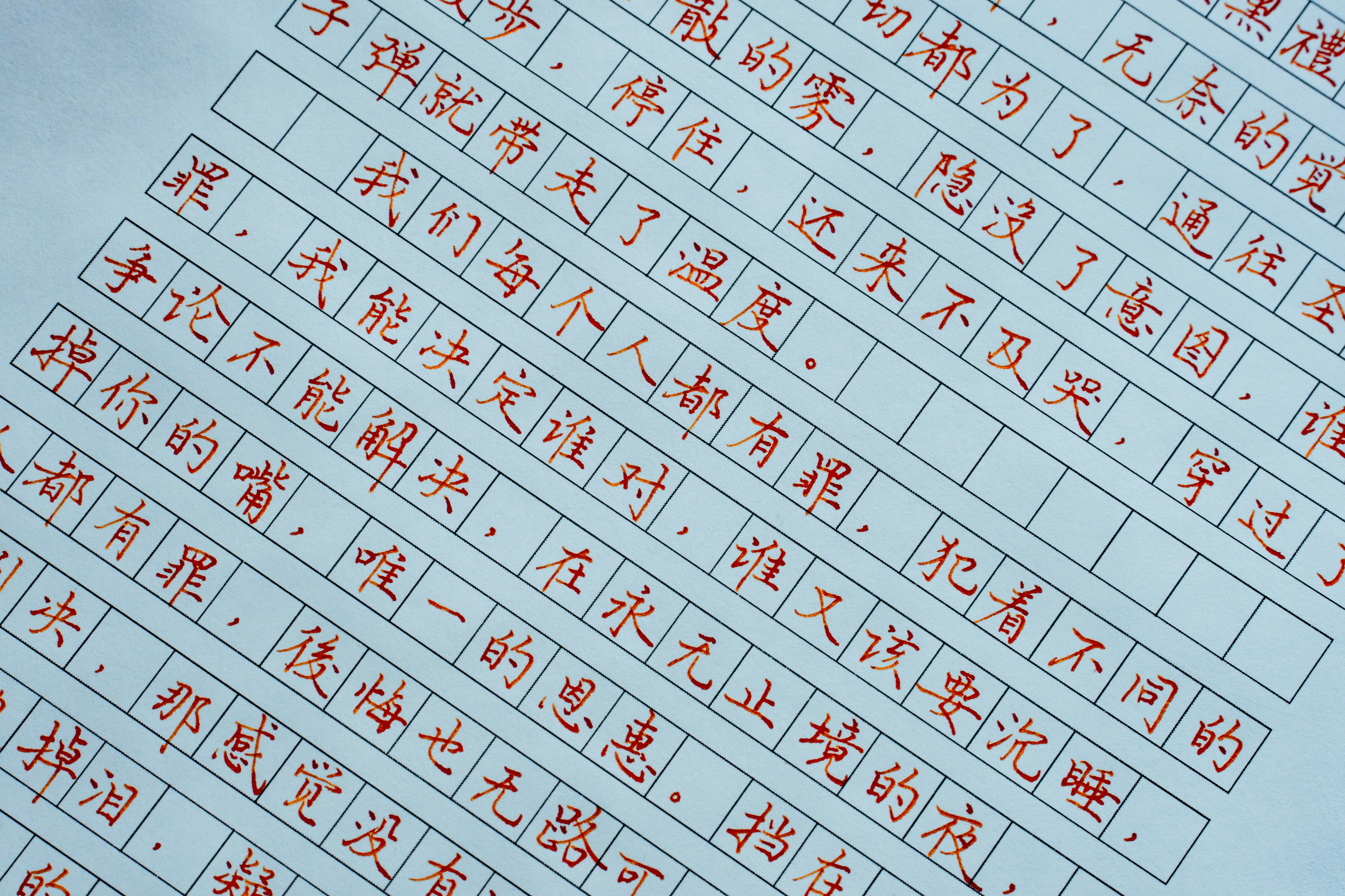 photo-1785684319478-1c0b3376af54?ixid=M3