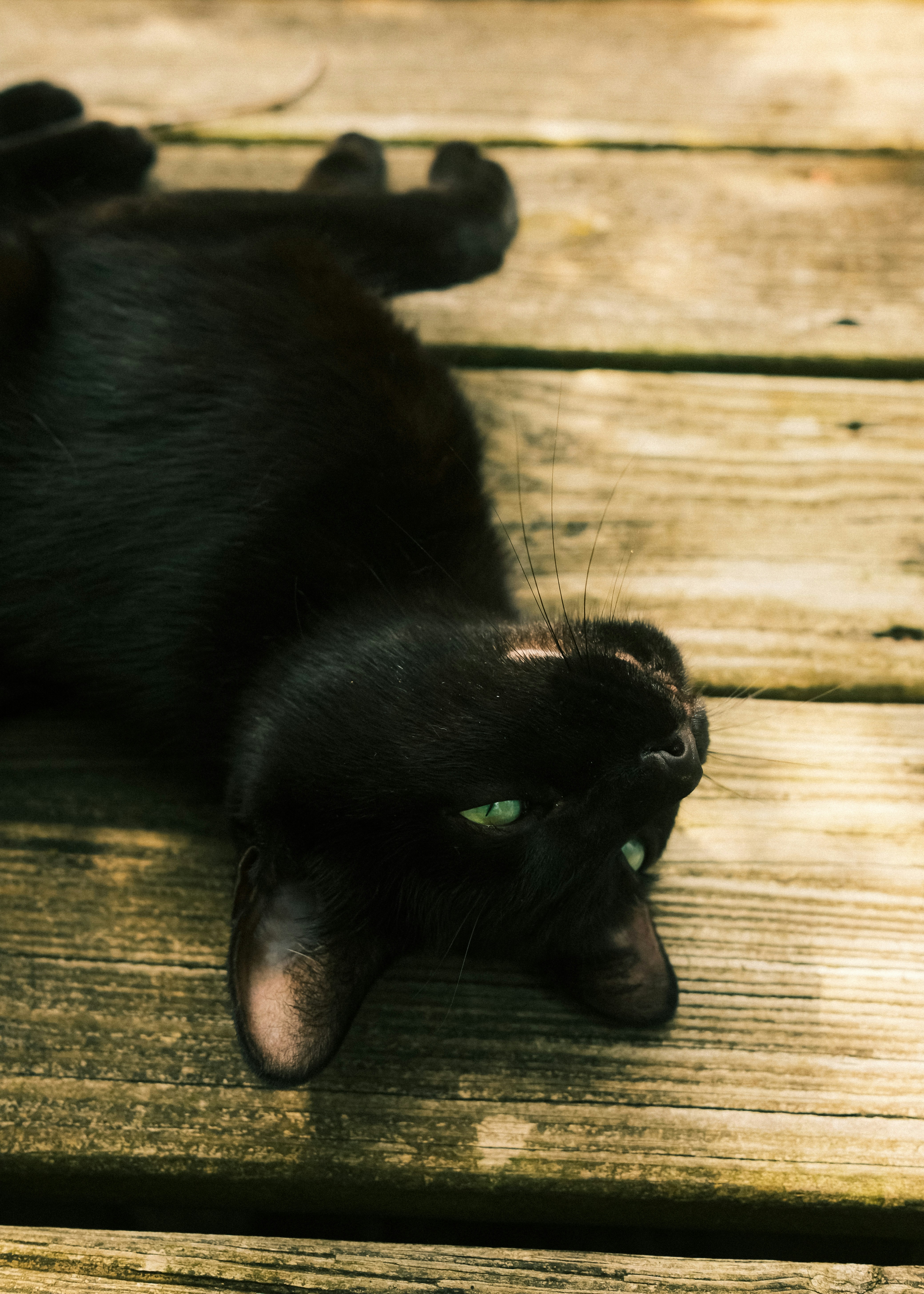Black cat with green eyes lying upside down on wood.