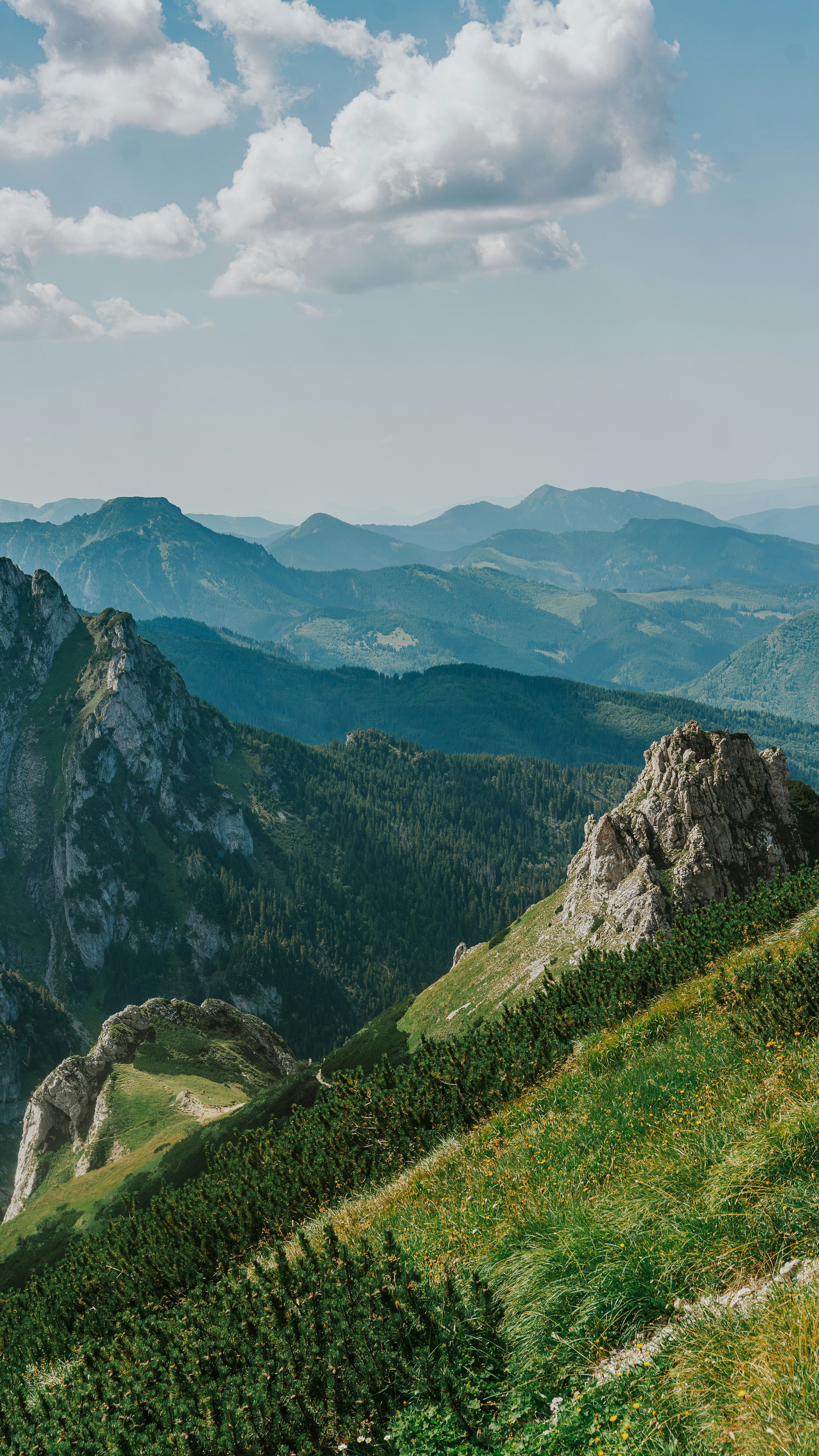 Scenic mountain vista with rocky peaks and forested slopes.
