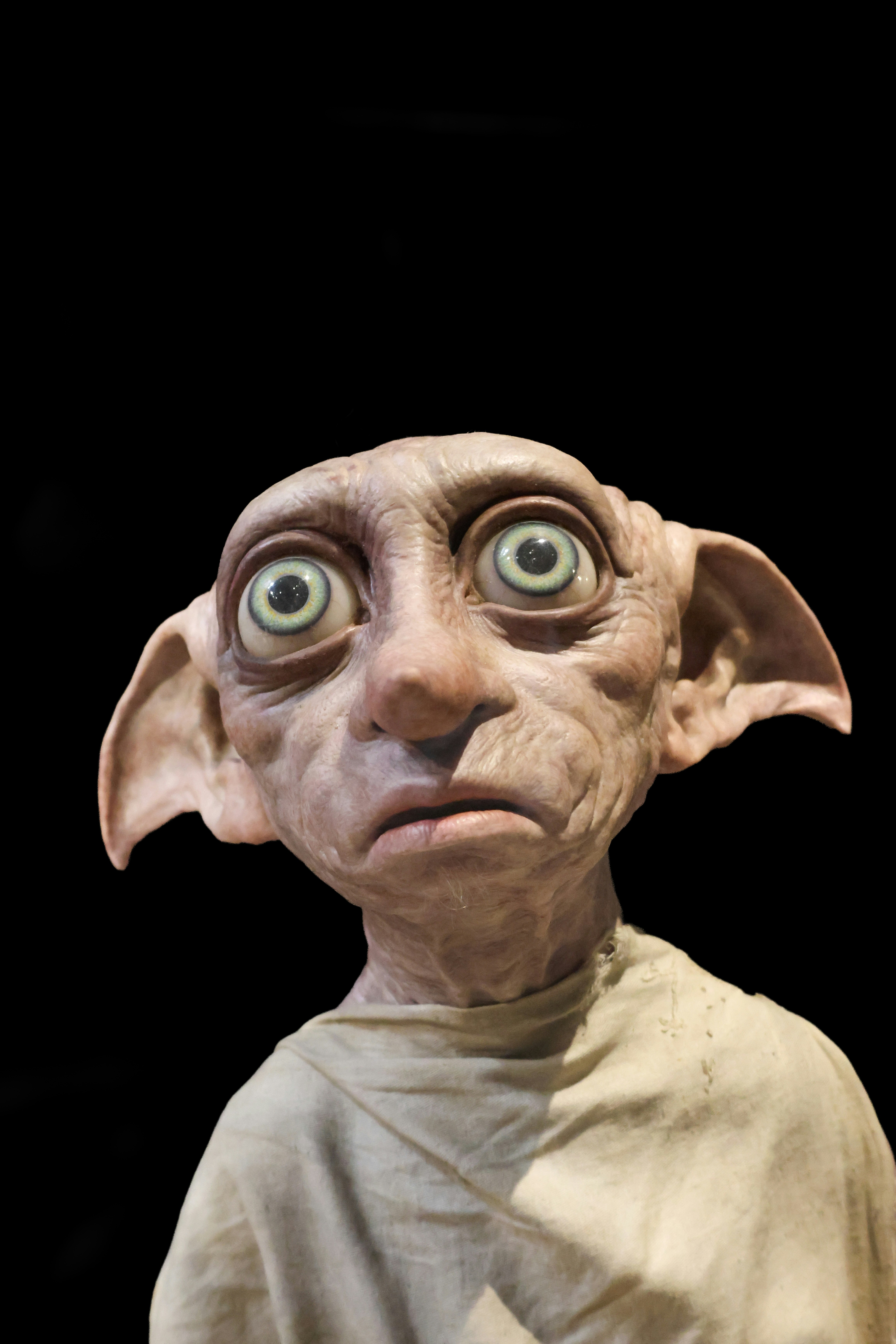 Dobby el elfo doméstico contra un fondo oscuro.