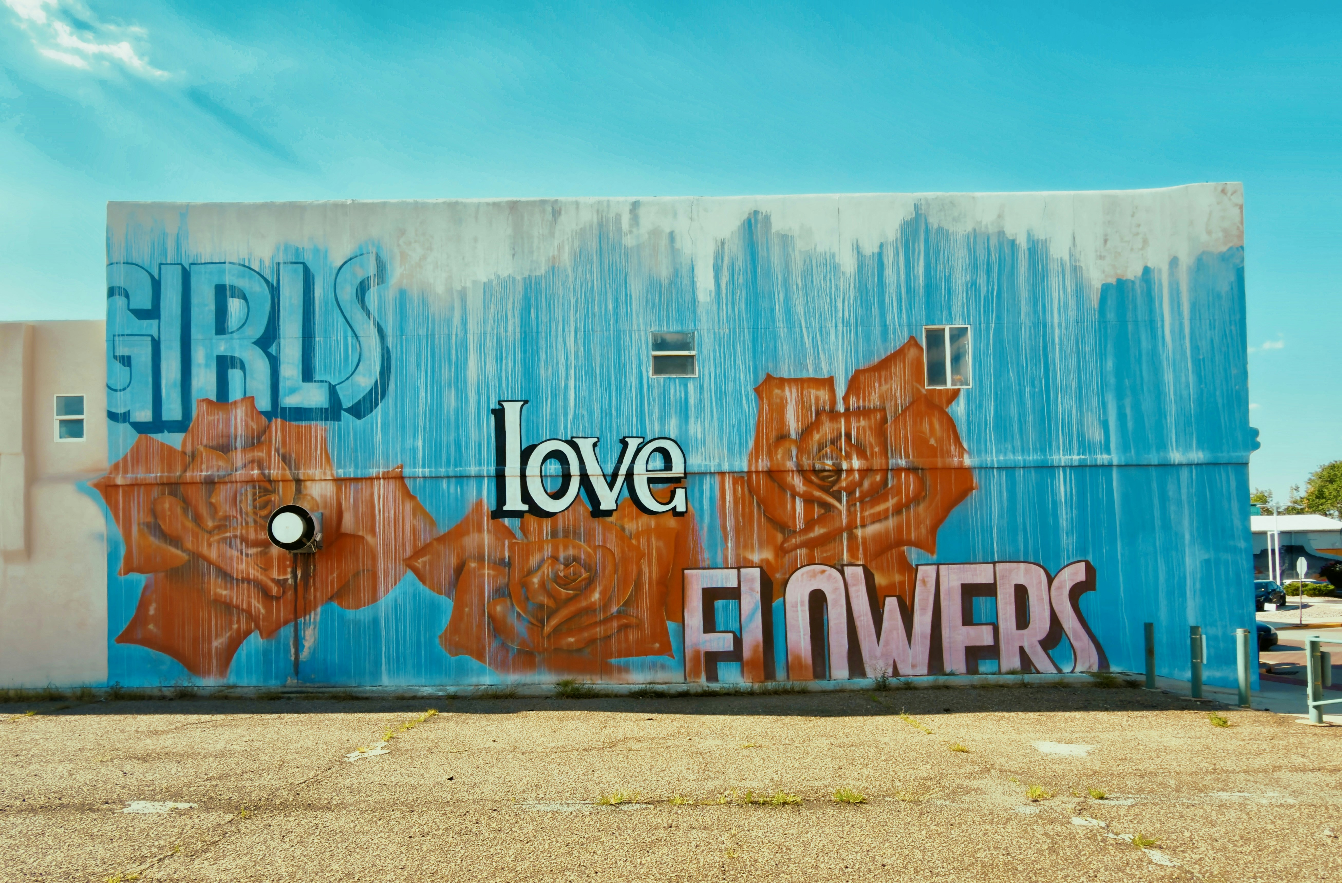 Vibrant mural on a wall reads "girls love flowers"