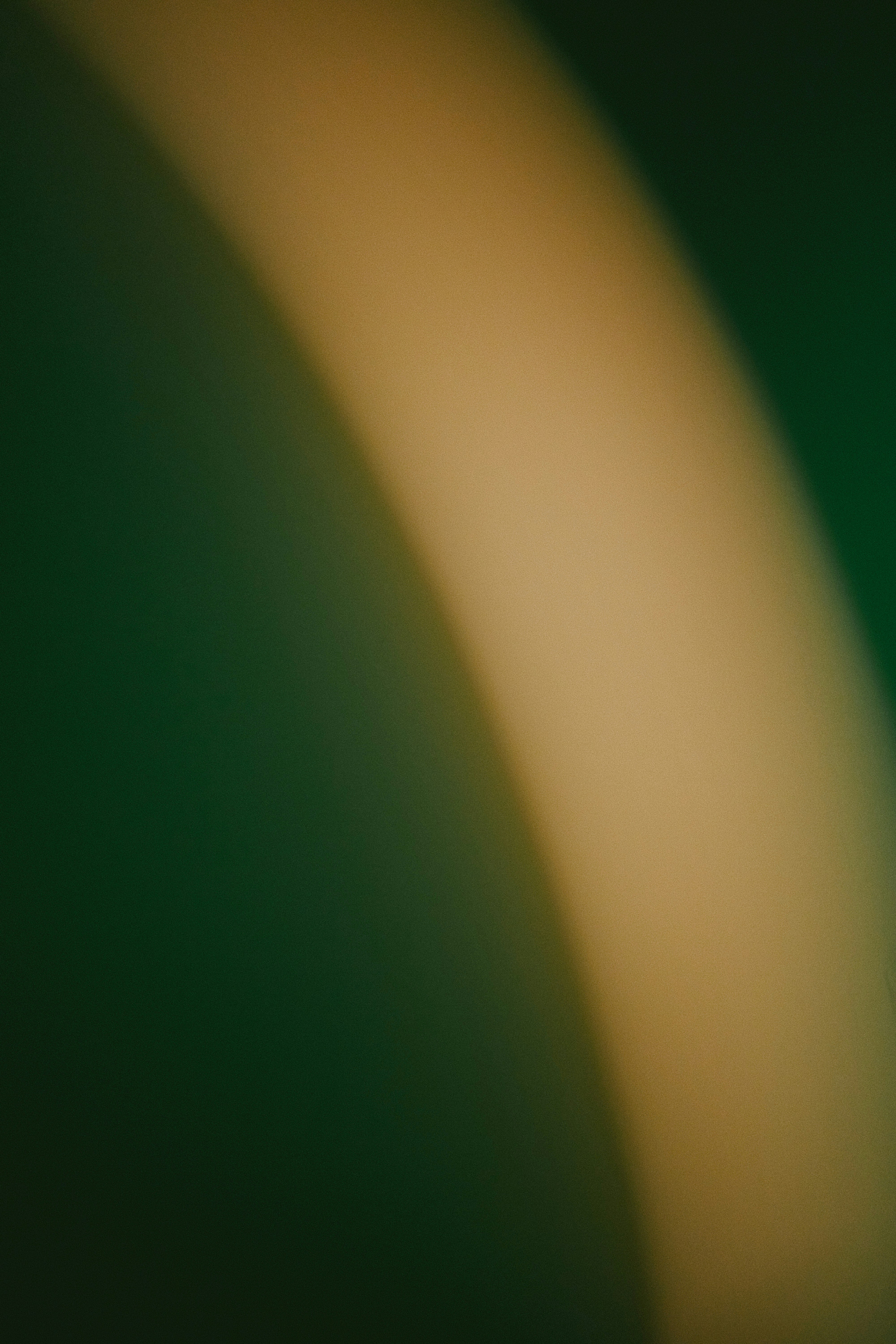 Abstract dark green background with curved light brown blur.
