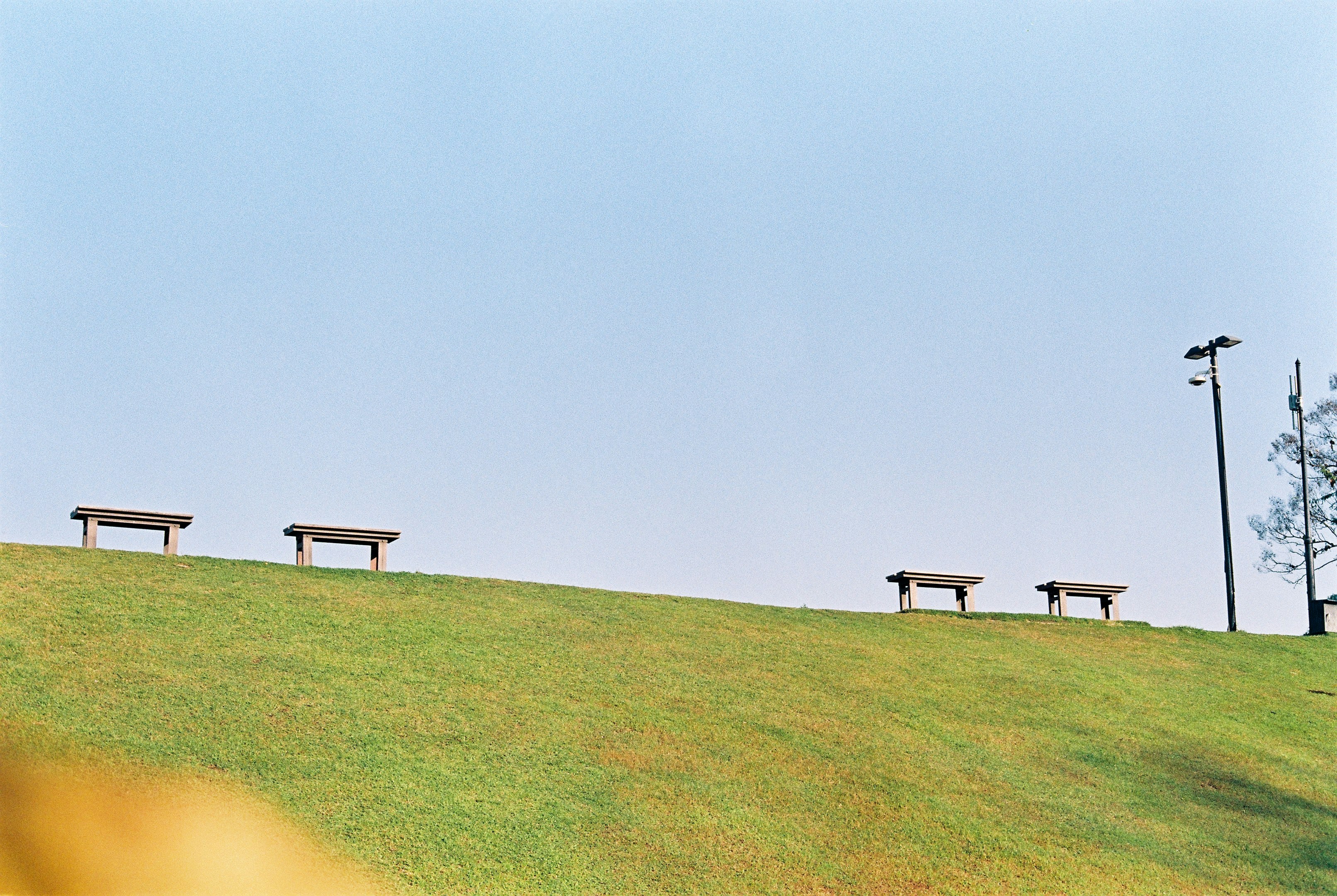 Empty wooden benches line a green grassy hill
