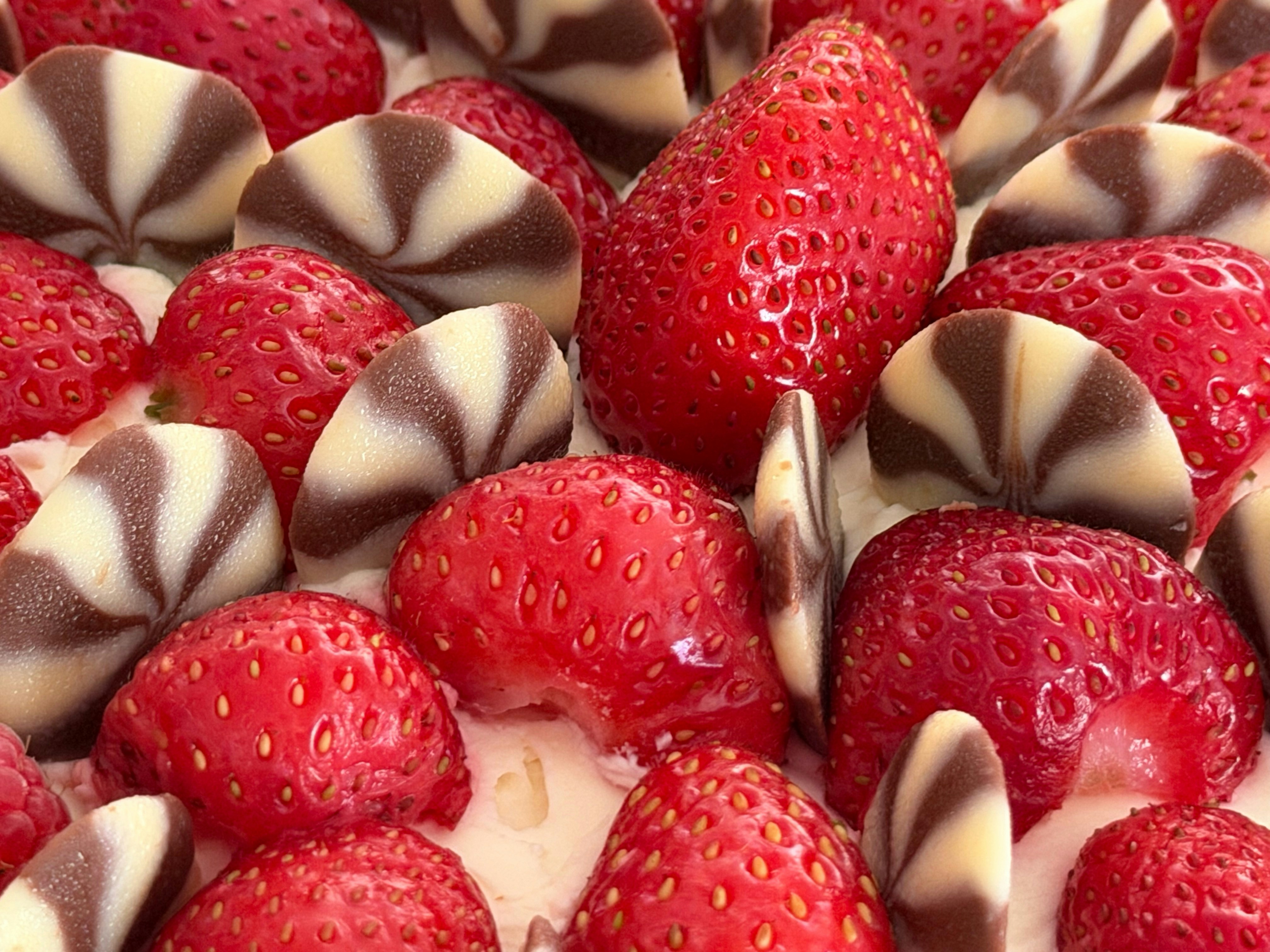 Delicious strawberries and striped chocolate pieces