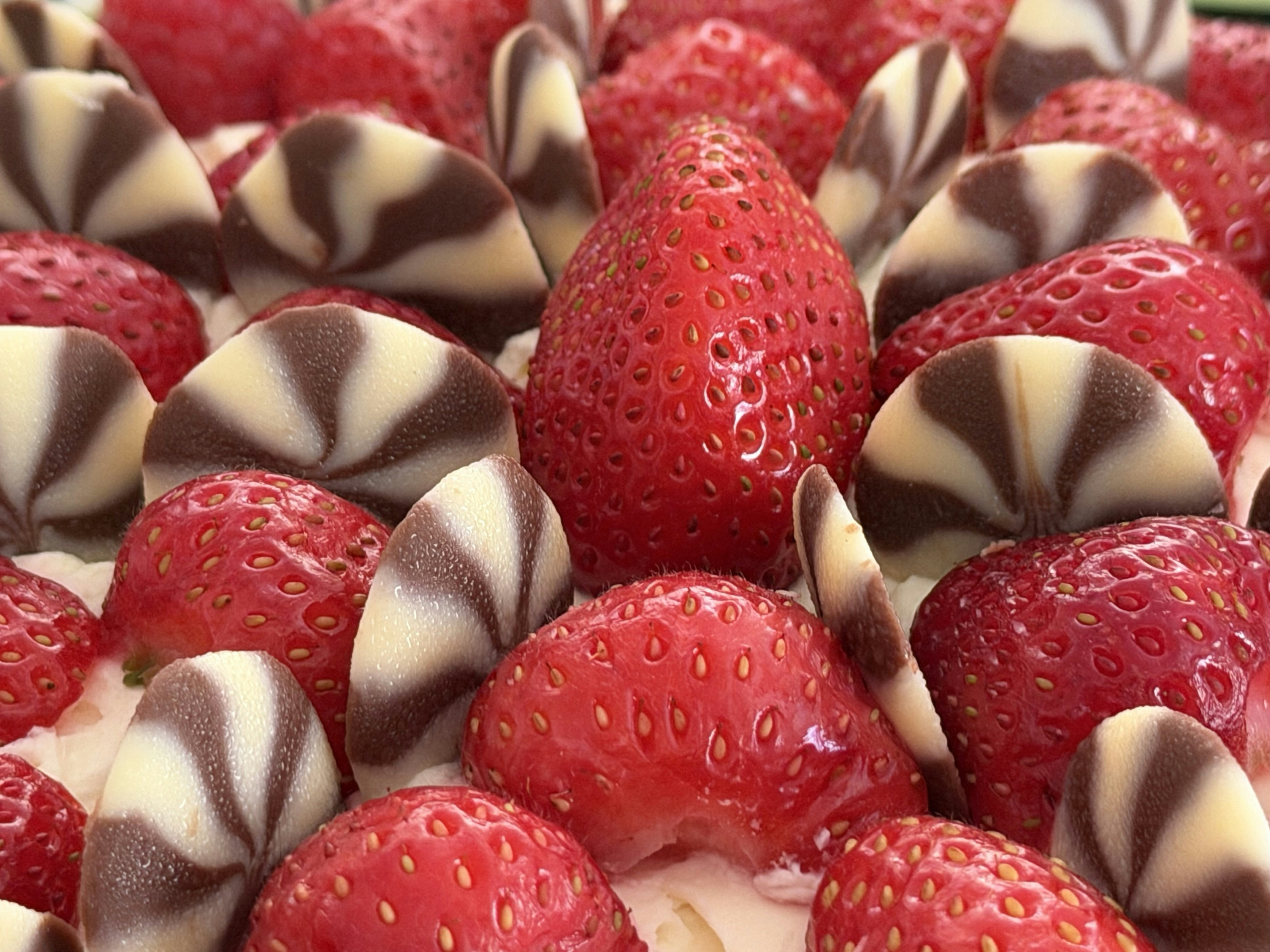Fresh strawberries and striped chocolate decorate a creamy dessert