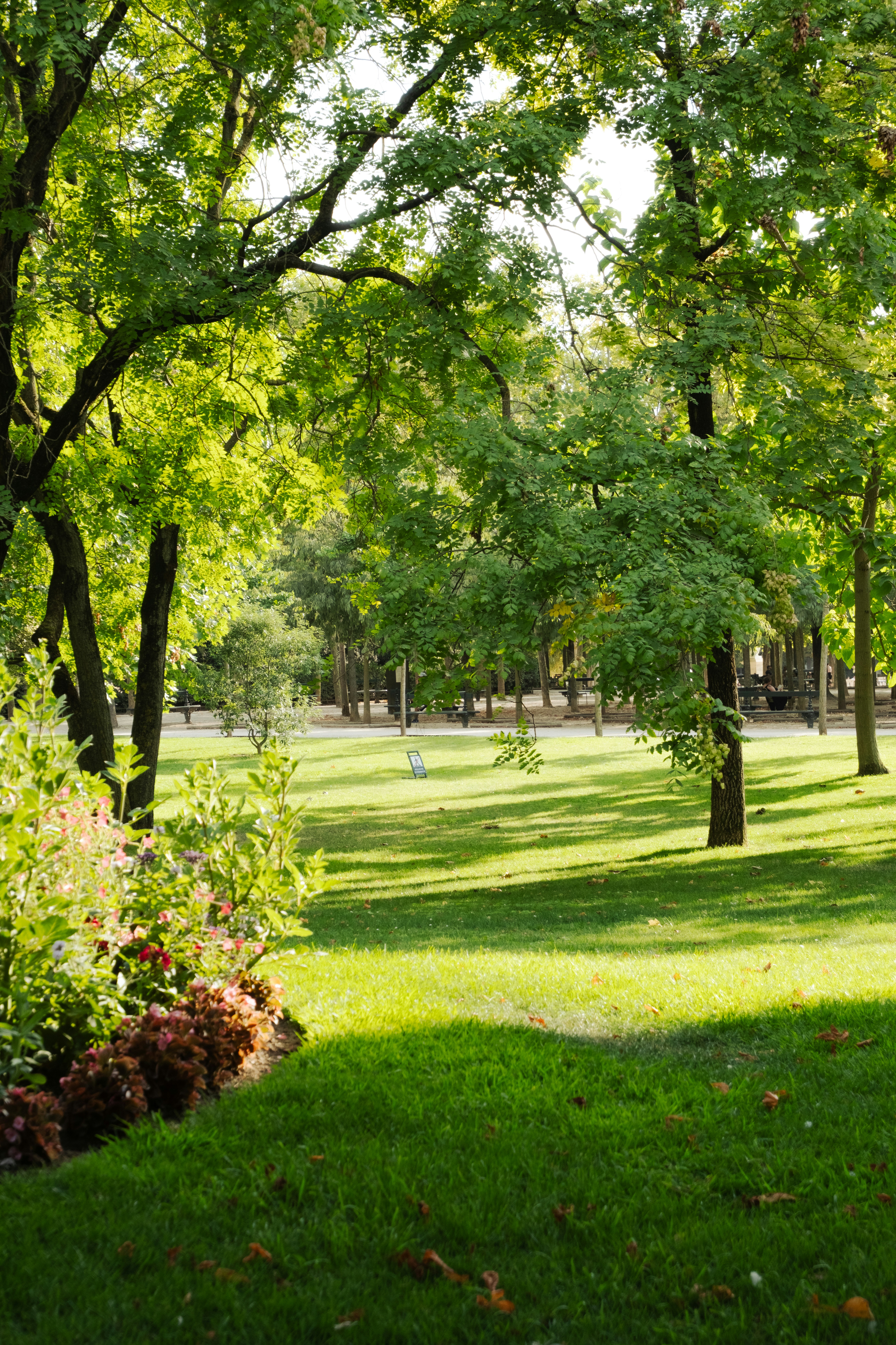 Um parque verde e exuberante com árvores e um gramado ensolarado.