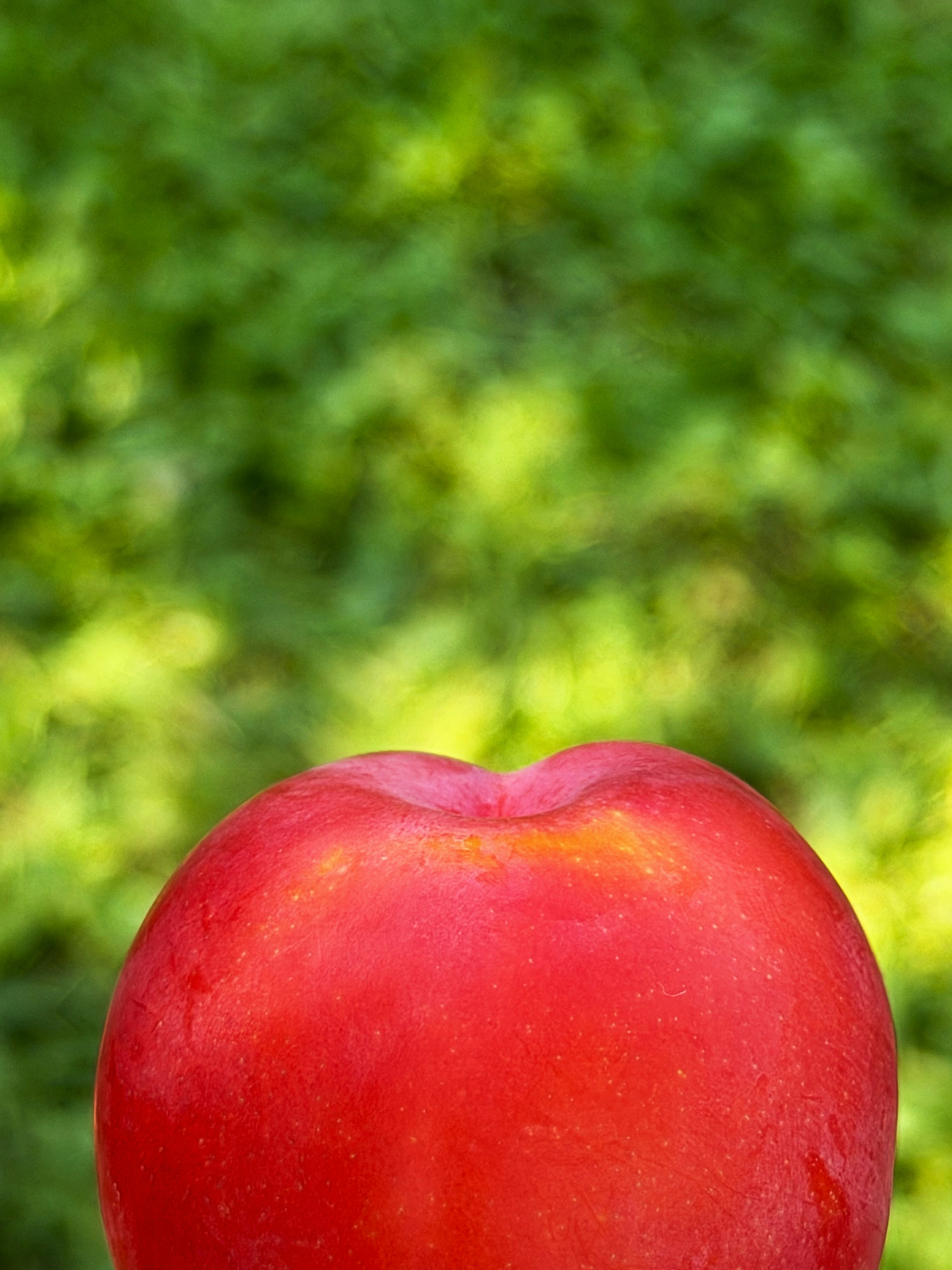 A vibrant red fruit against a blurred green background