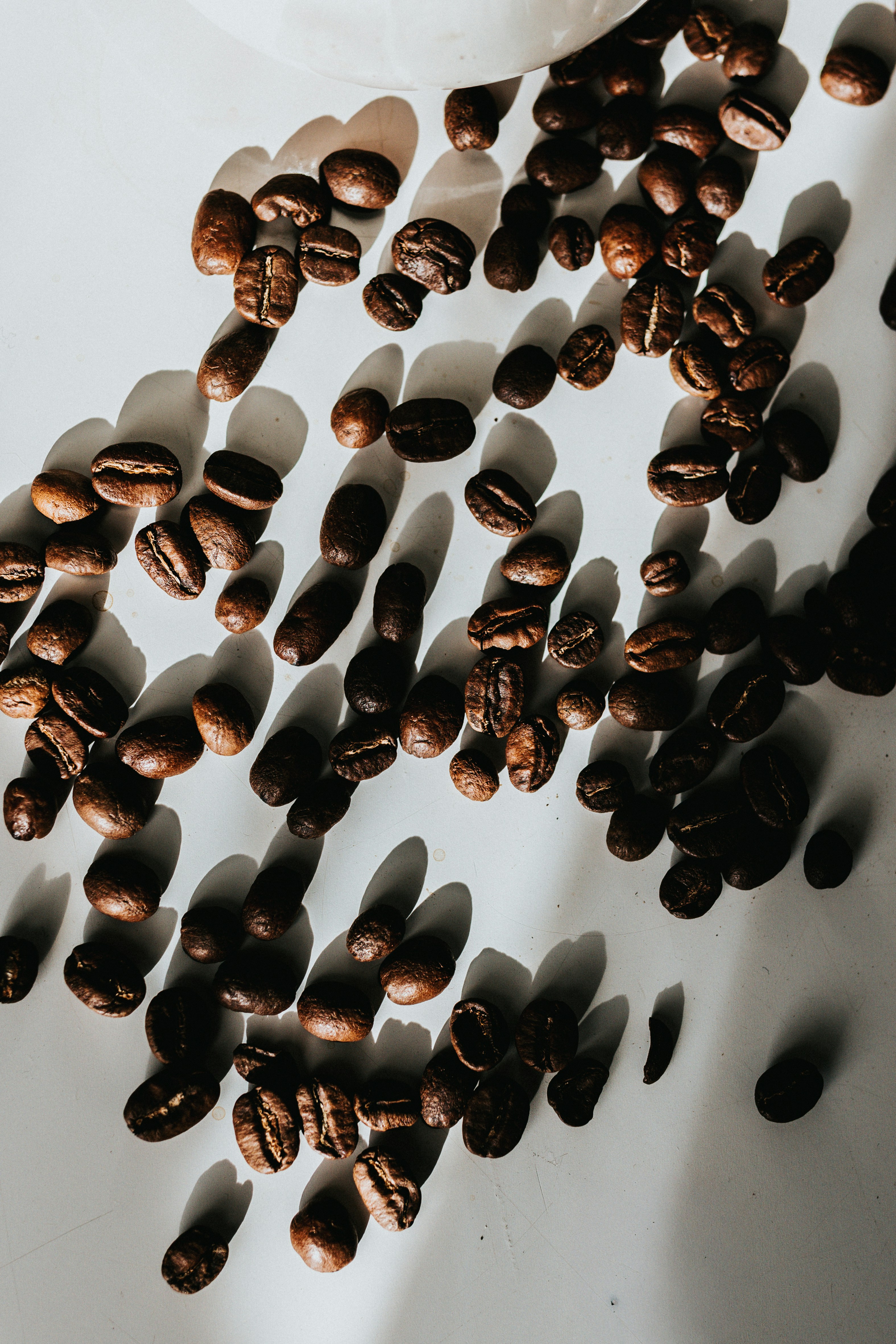 Coffee beans scattered on a white surface with shadows.