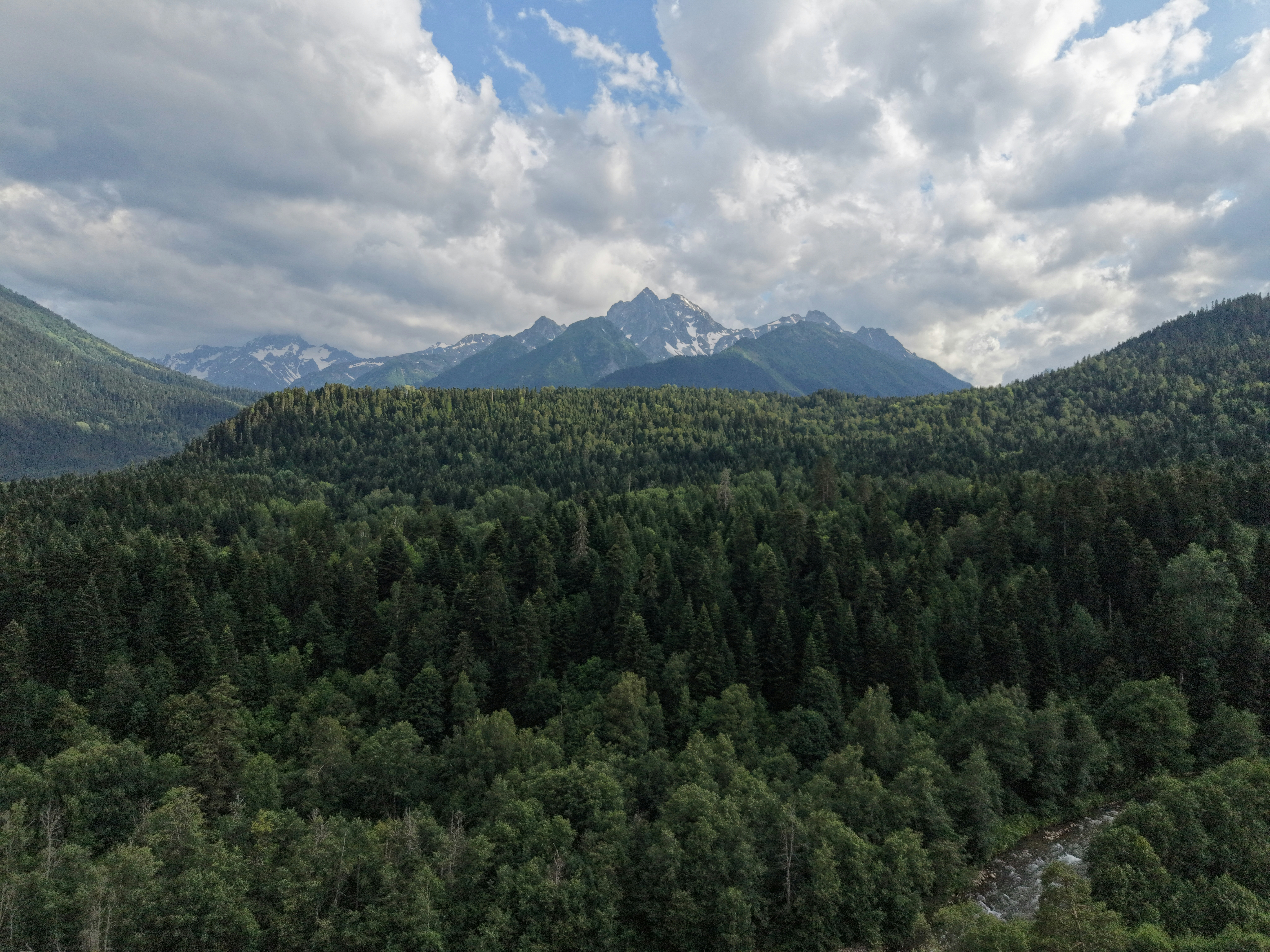 Dense Green Forest with Mountains Under a Cloudy Sky