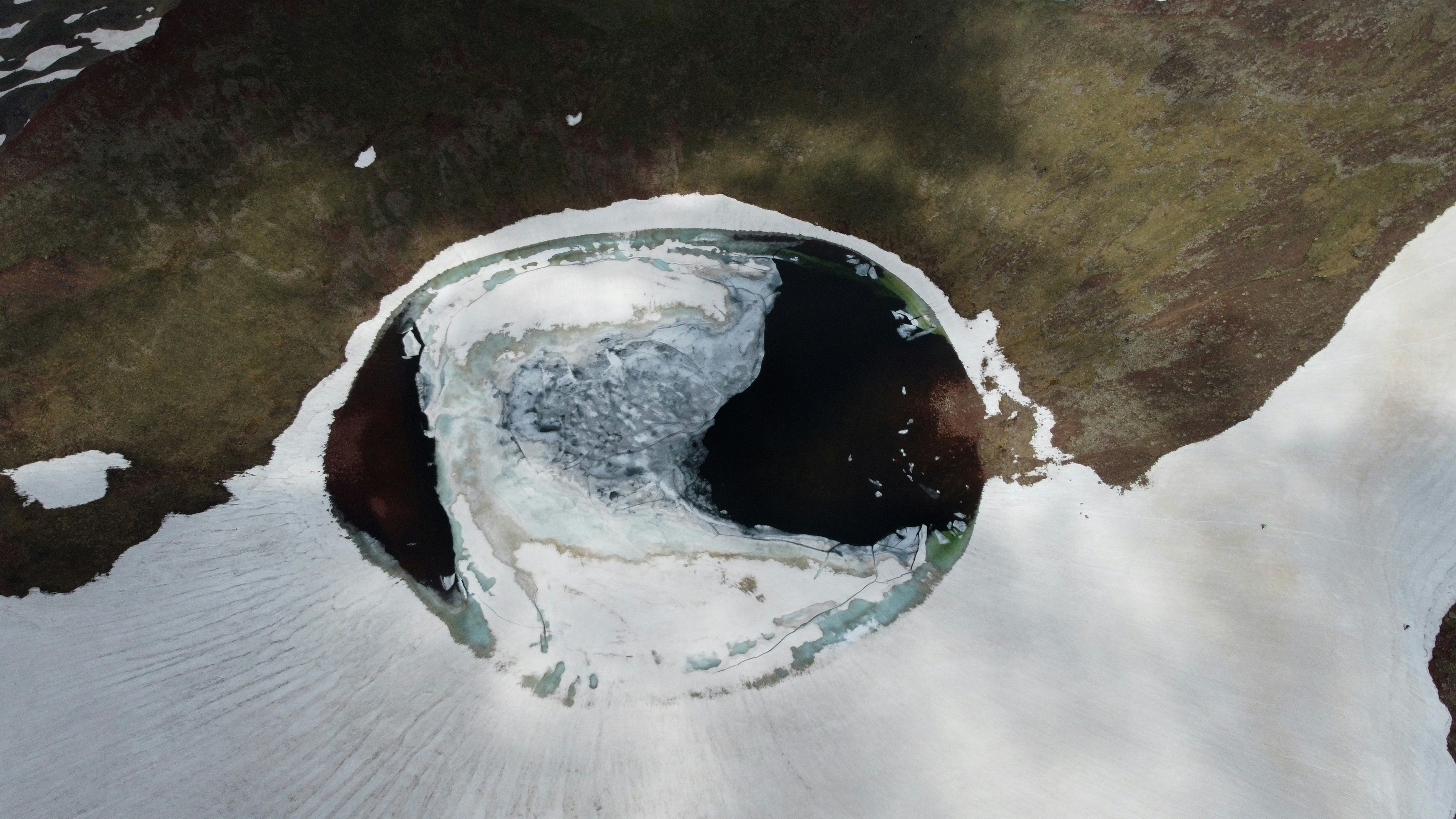 Carbon Feedback Loop: Tundra Shifts From Sink to Source in Decades - Arctic tundra vegetation shift