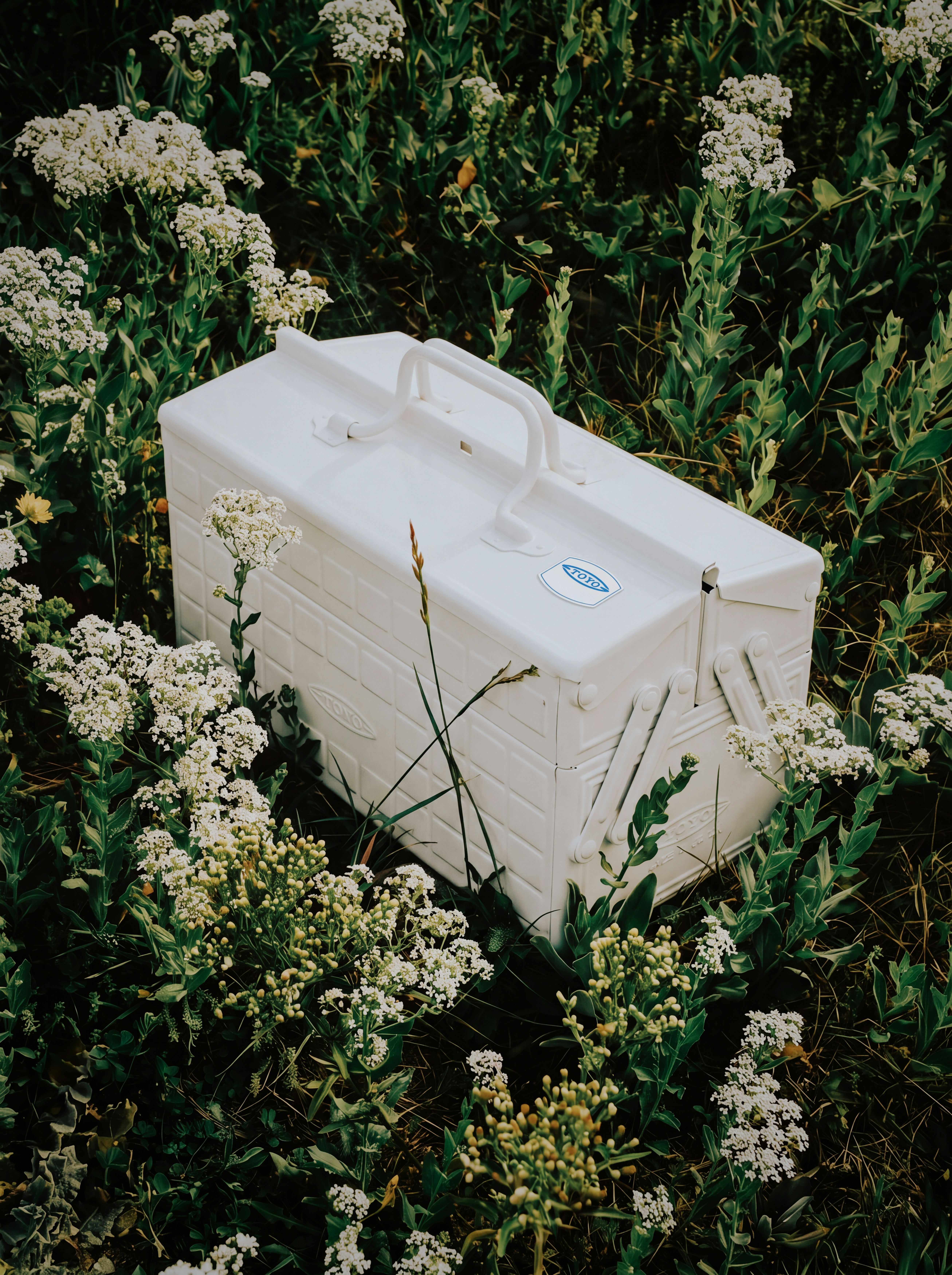 野の花畑に白い工具箱