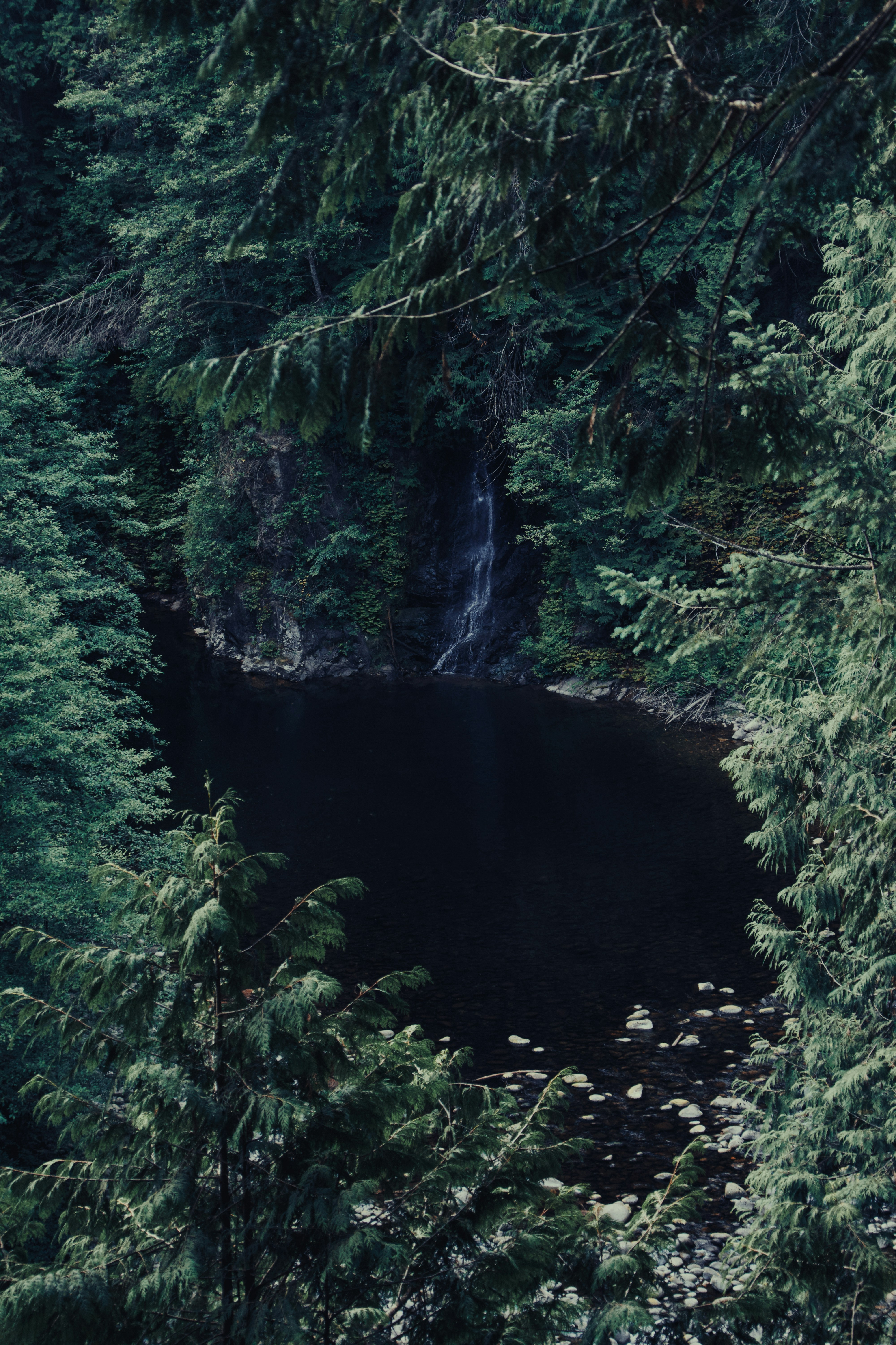Der Wasserfall fließt in einen dunklen, von Bäumen gesäumten Waldsee.