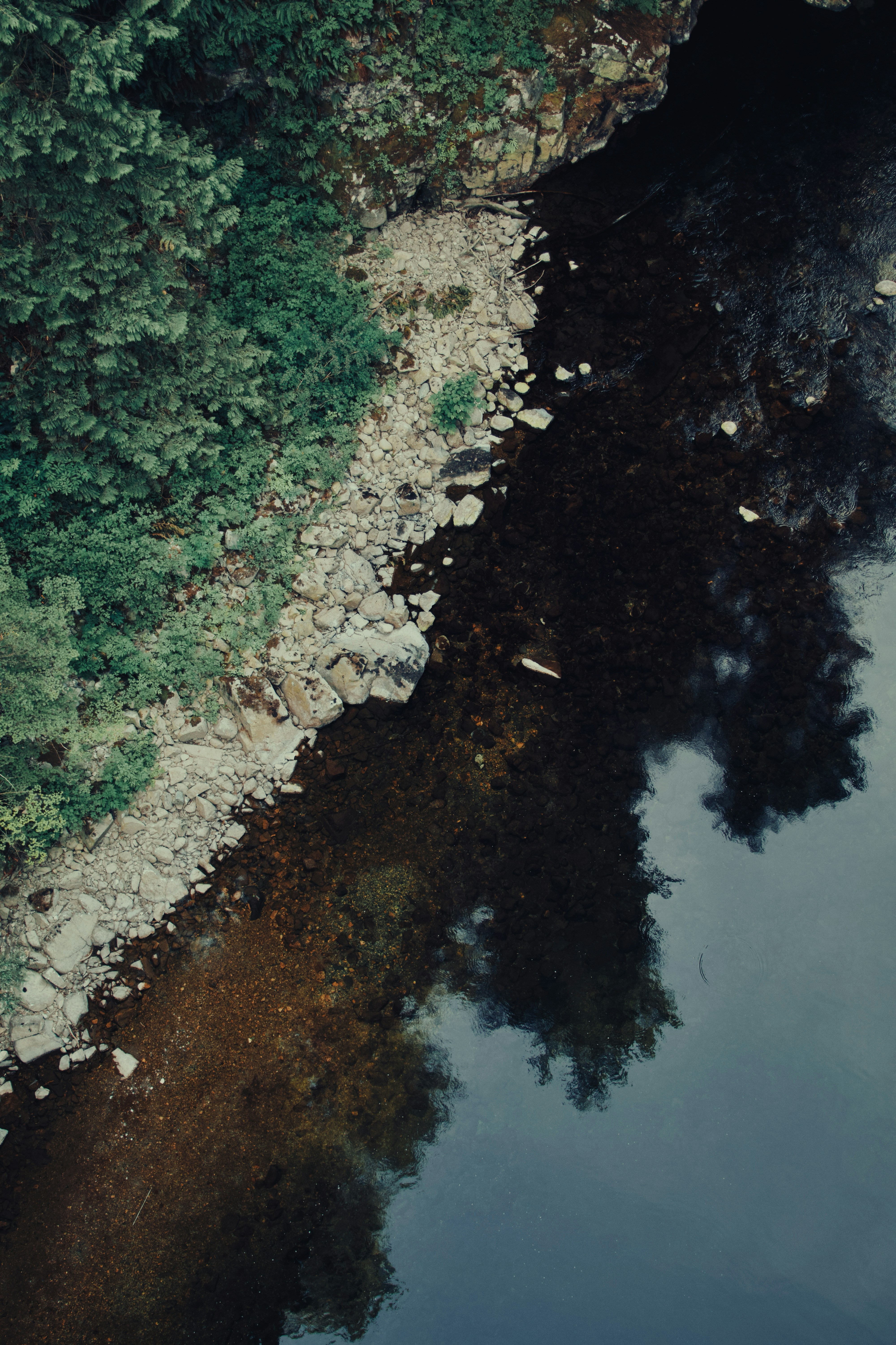 Dunkles Wasser, das Bäume neben einem felsigen, grünen Ufer reflektiert.