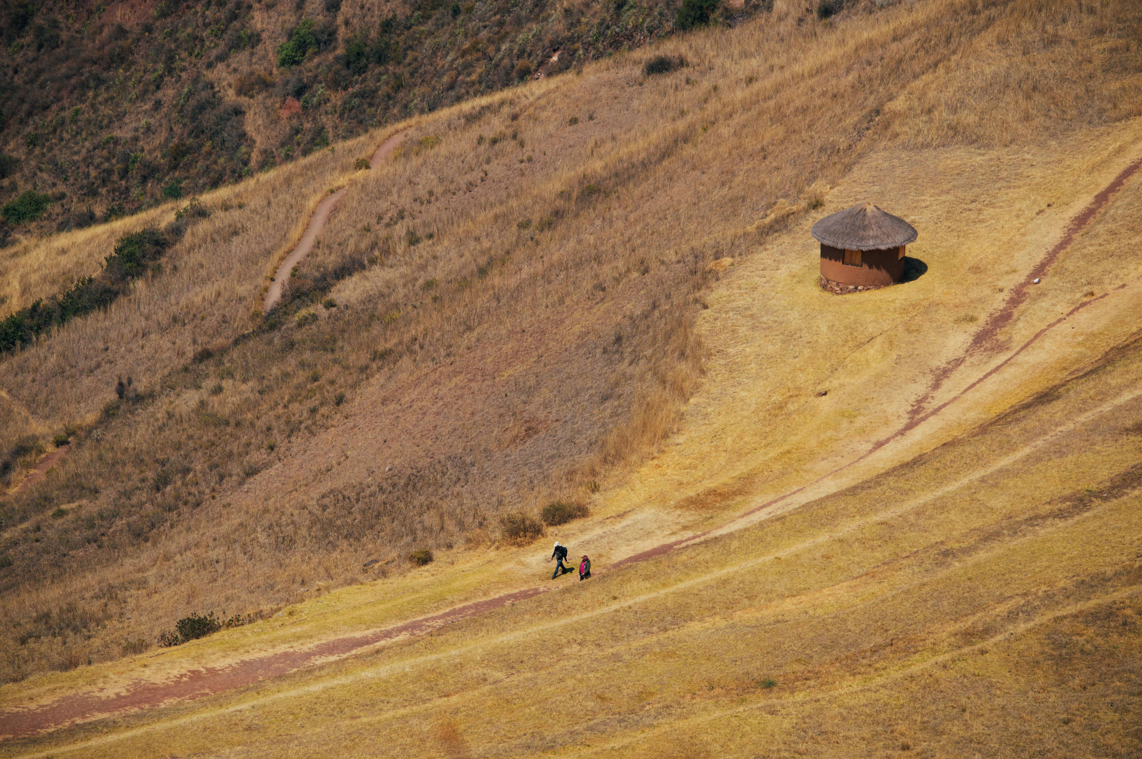 A small thatched hut on a dry, golden terraced hillside in the Sacred Valley, Peru