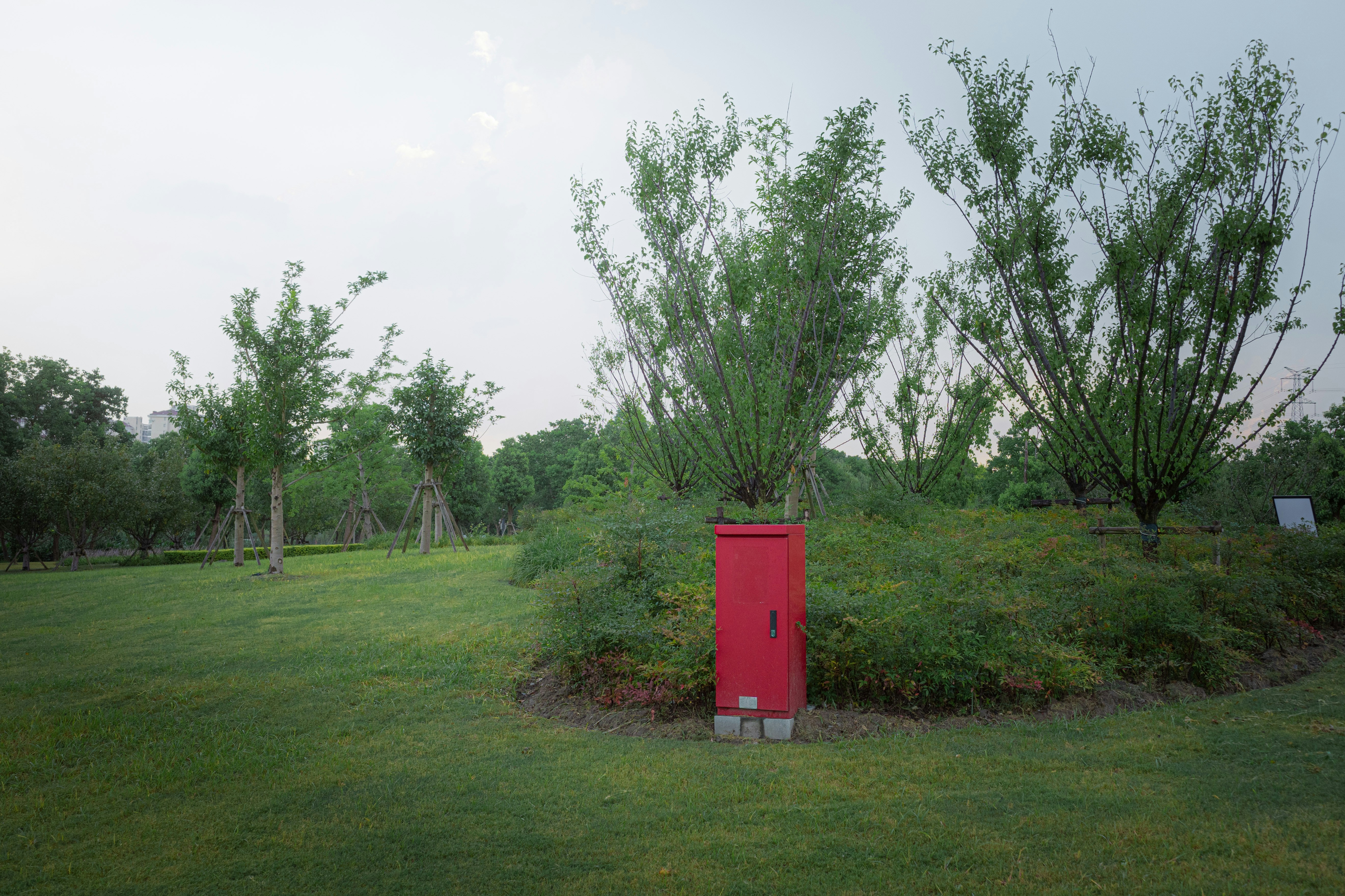 Red utility box in a grassy park with trees