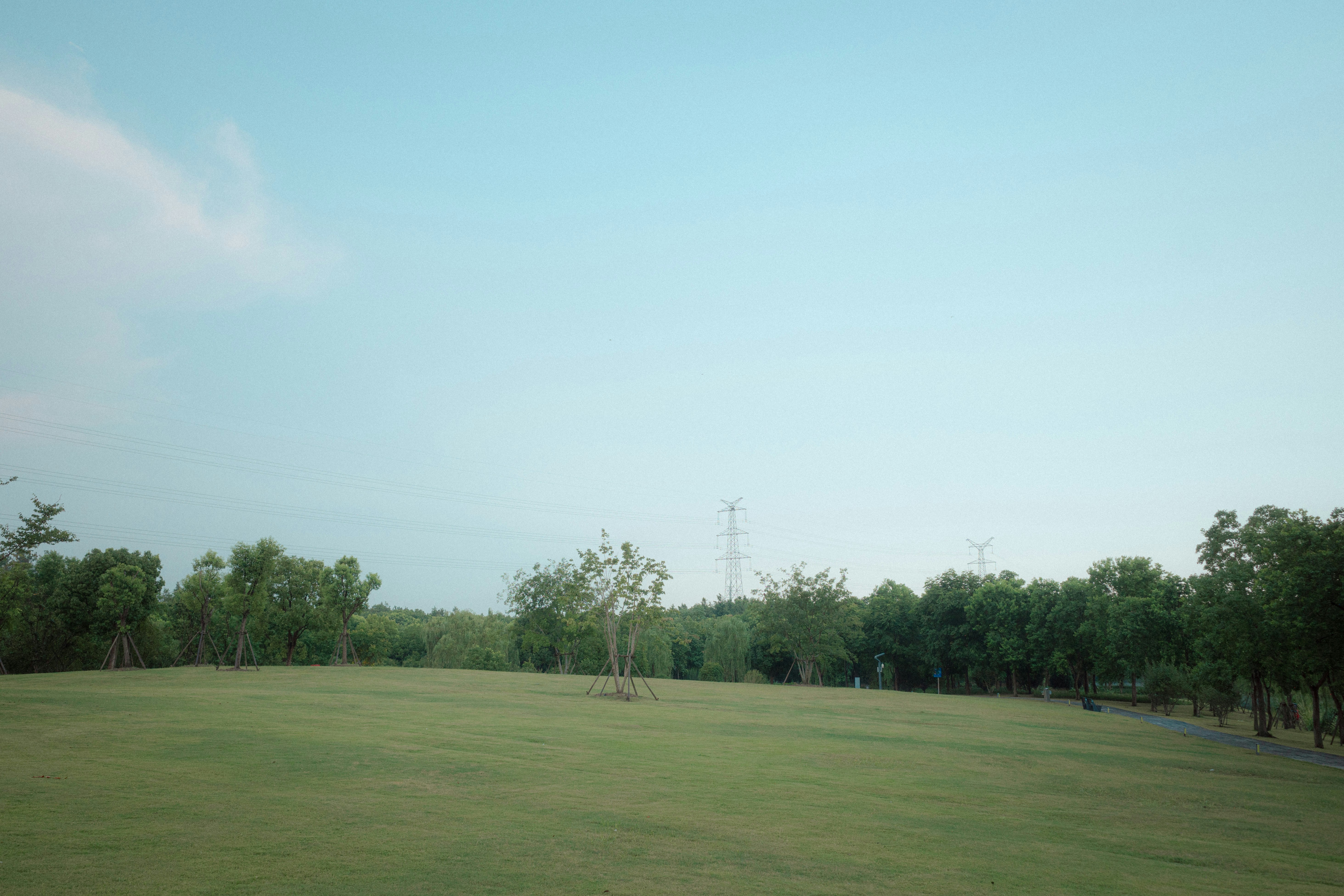 Green grass field with trees and a clear blue sky