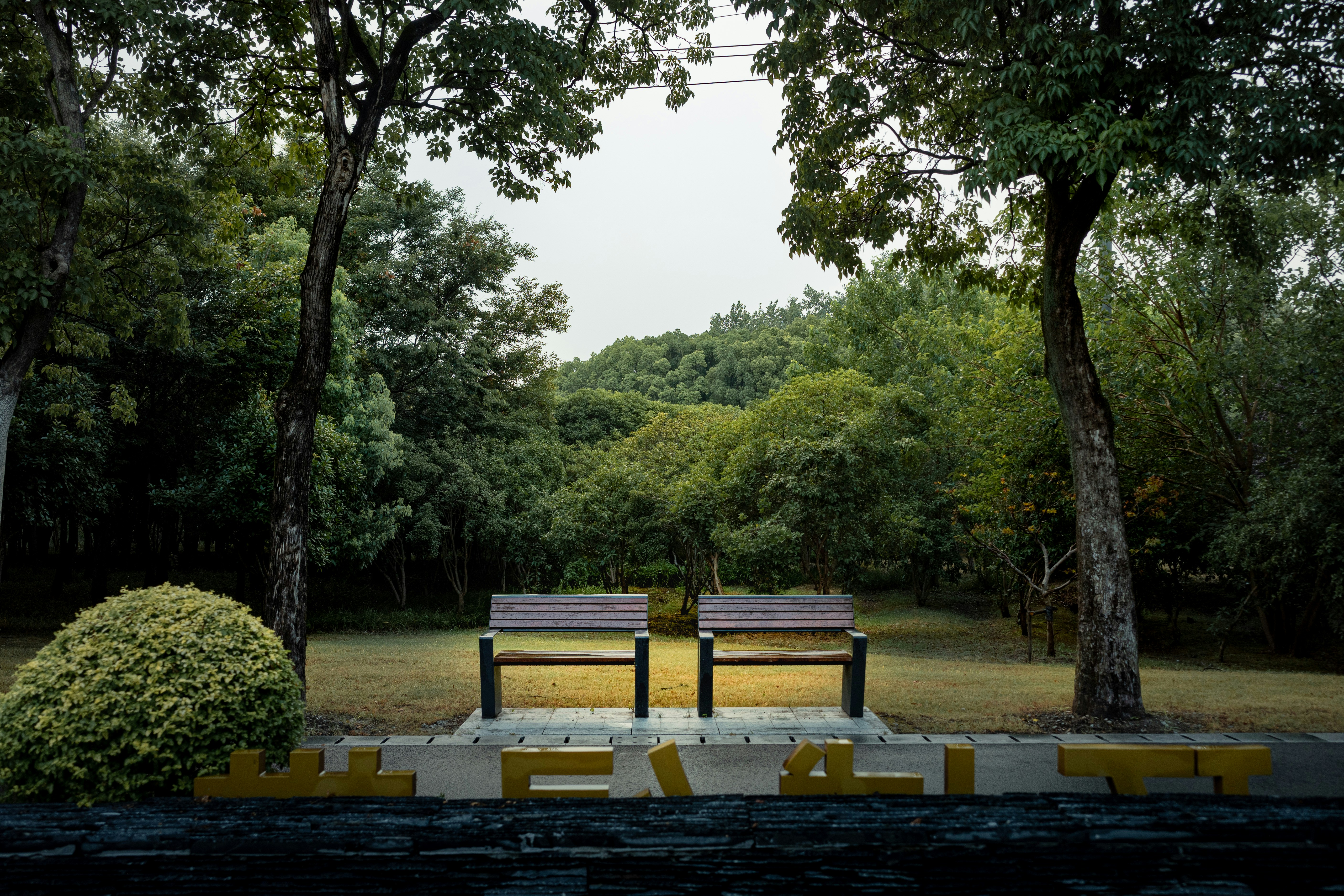 Two empty park benches surrounded by lush green trees