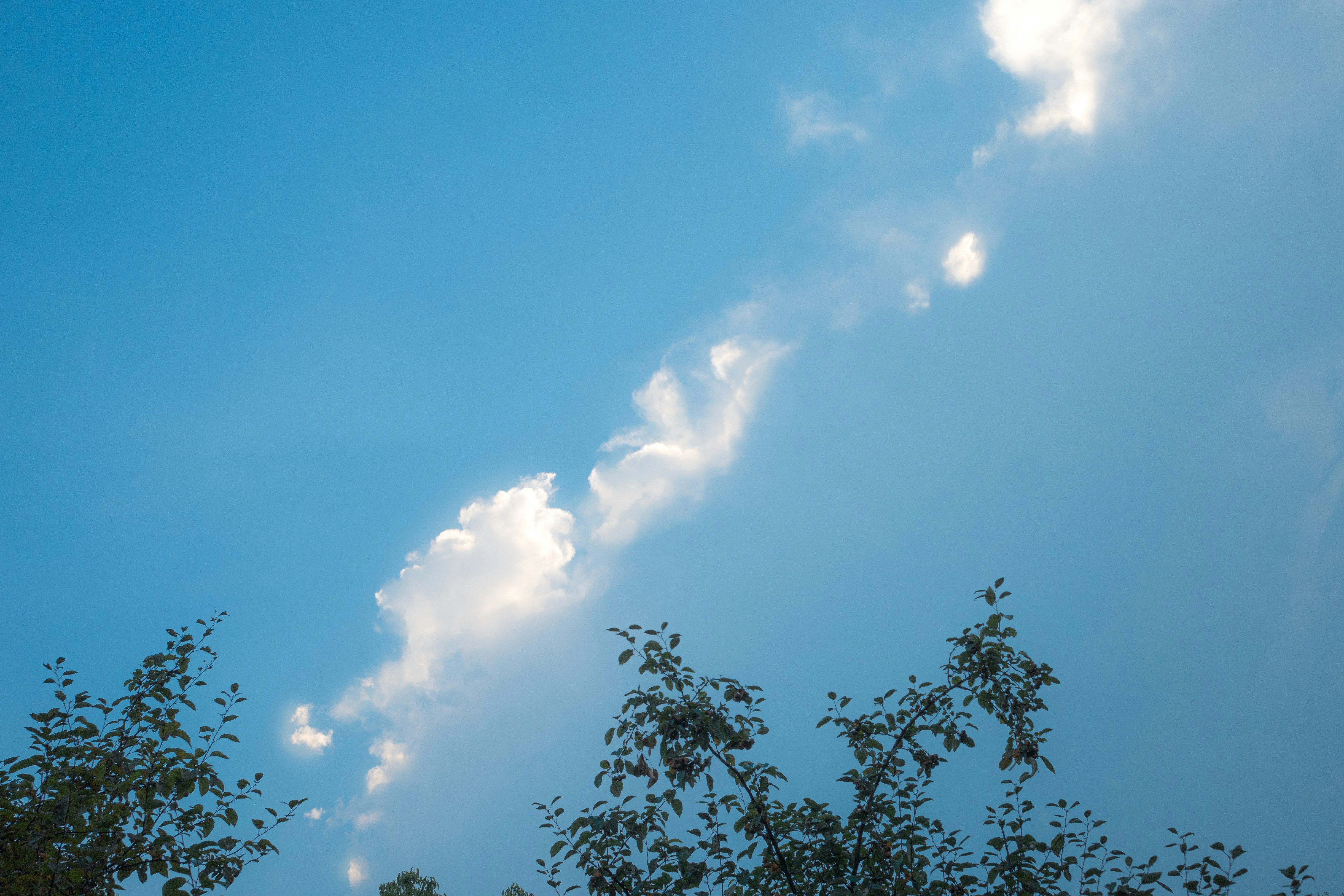 White clouds drift across a vibrant blue sky above trees