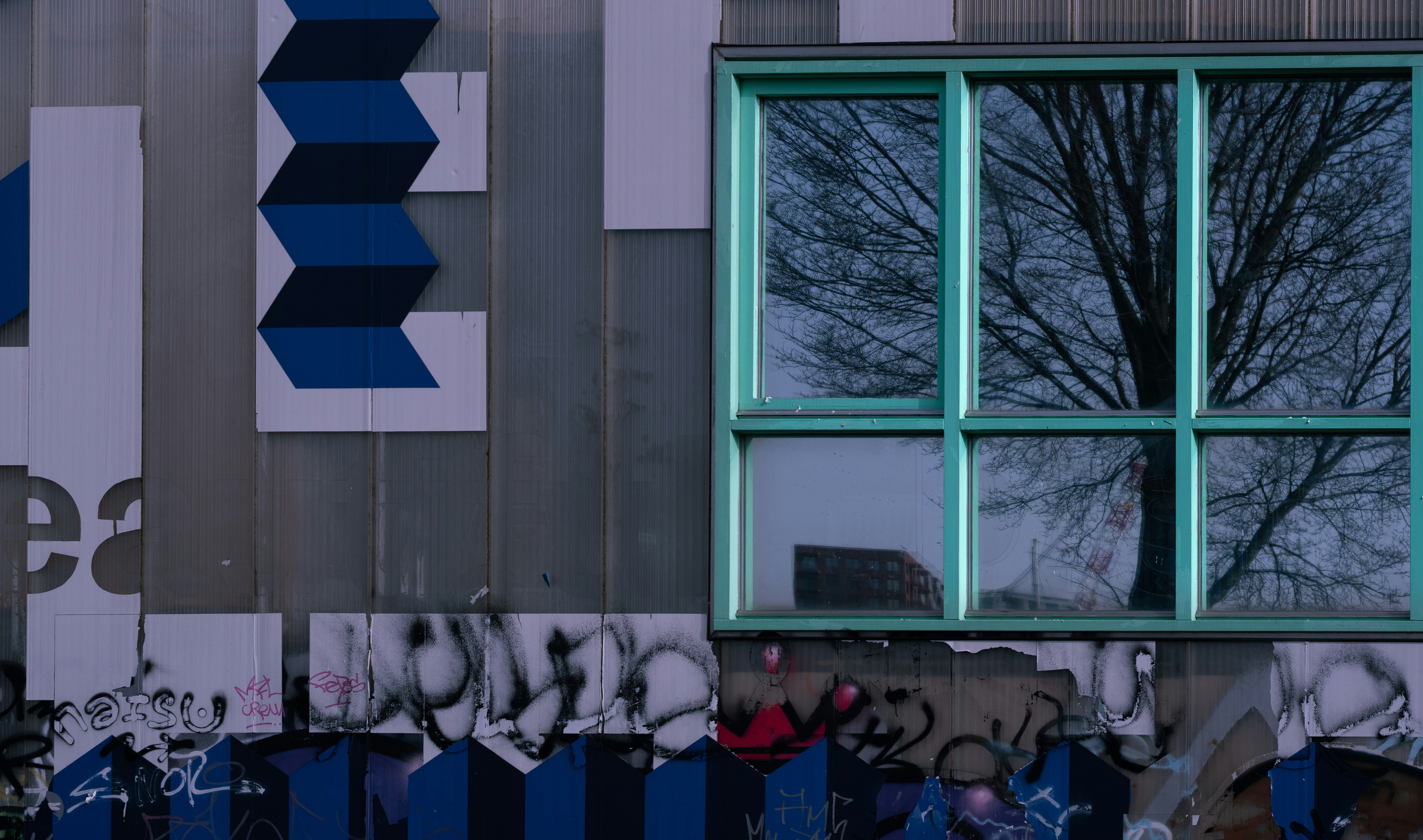 Graffiti-covered building wall with geometric patterns and tree reflection