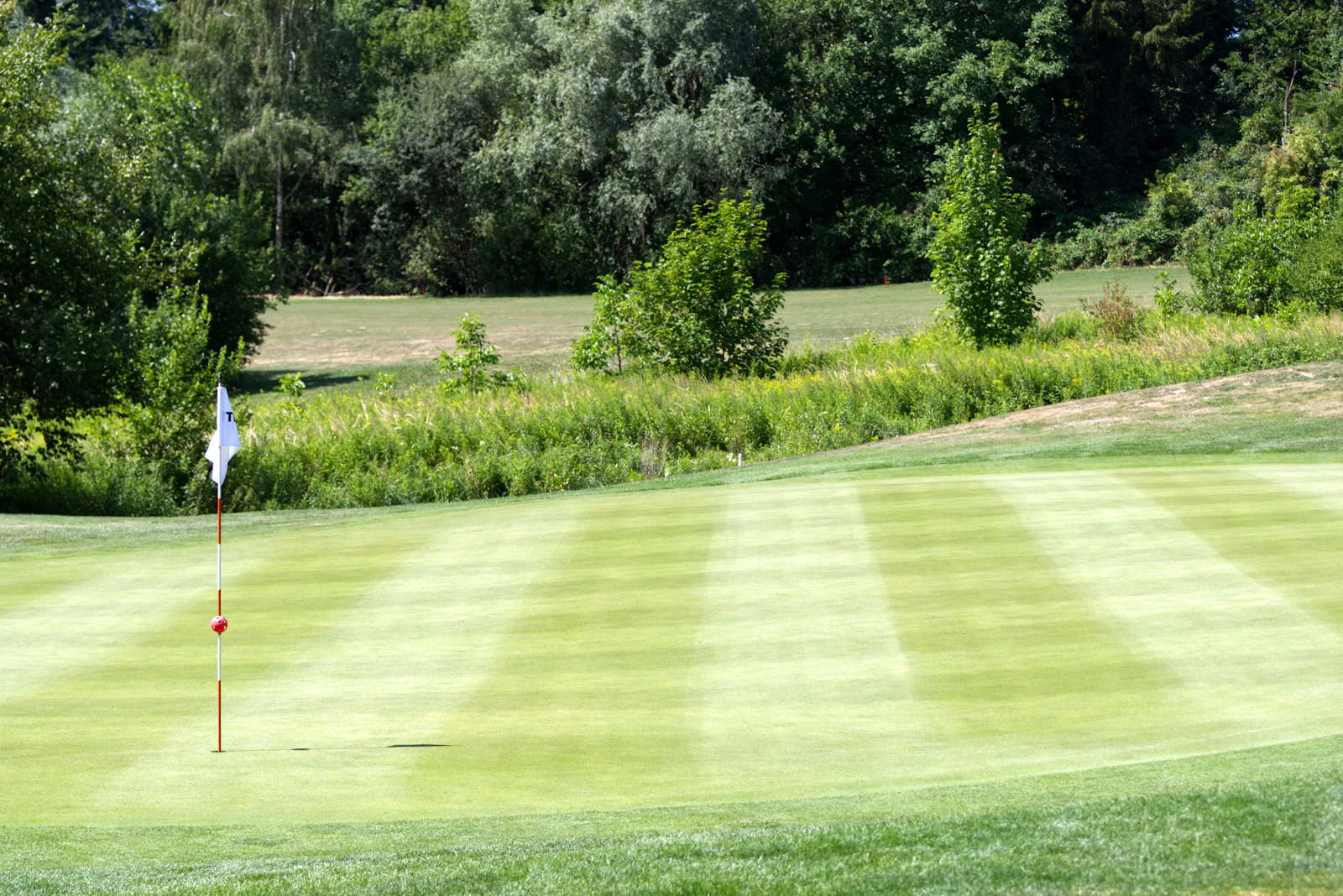 Striped fairway leading to a flagstick