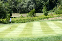 A golf green with a white flag on the pin, framed by trees