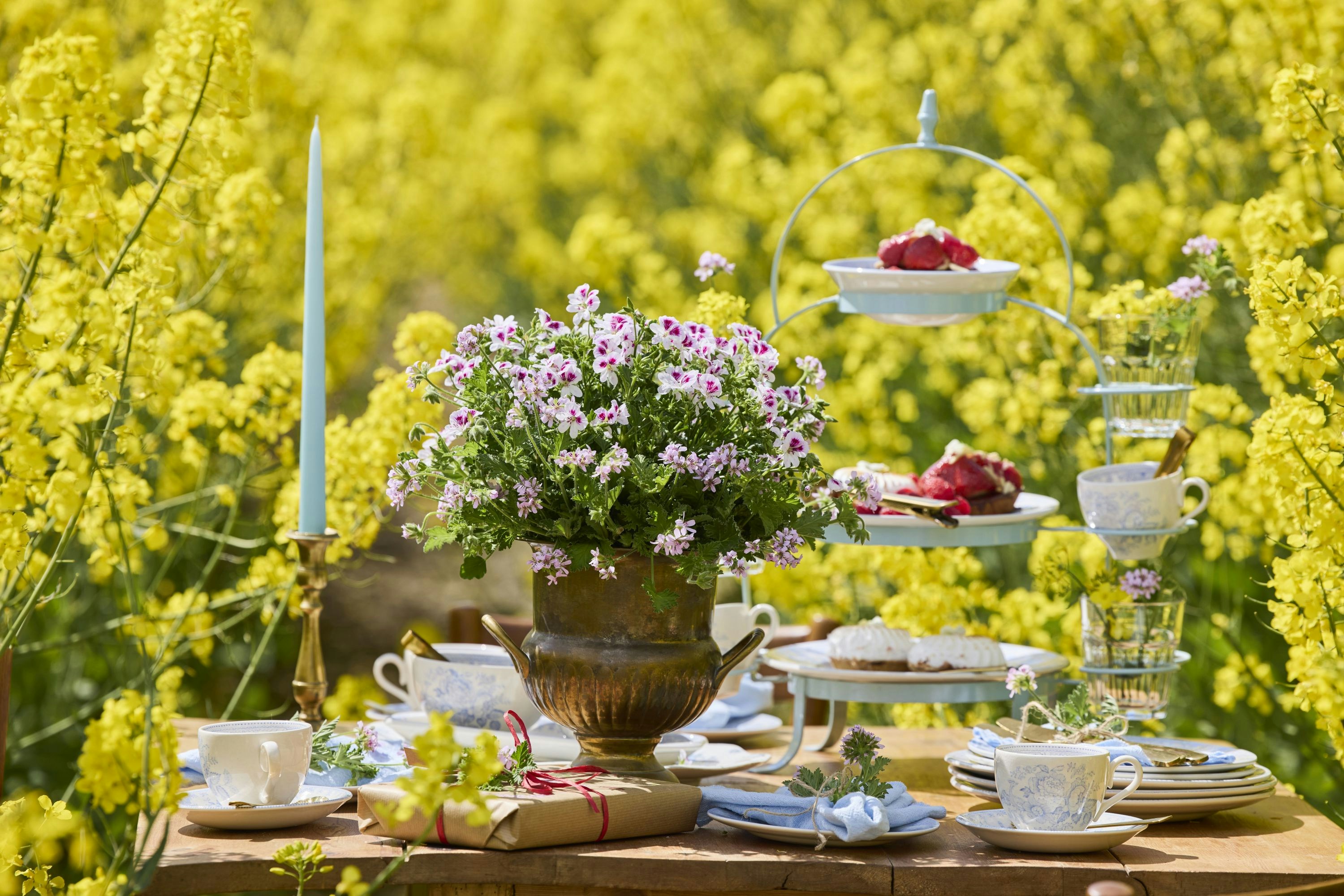 Elegant tea party setup in a vibrant yellow flower field