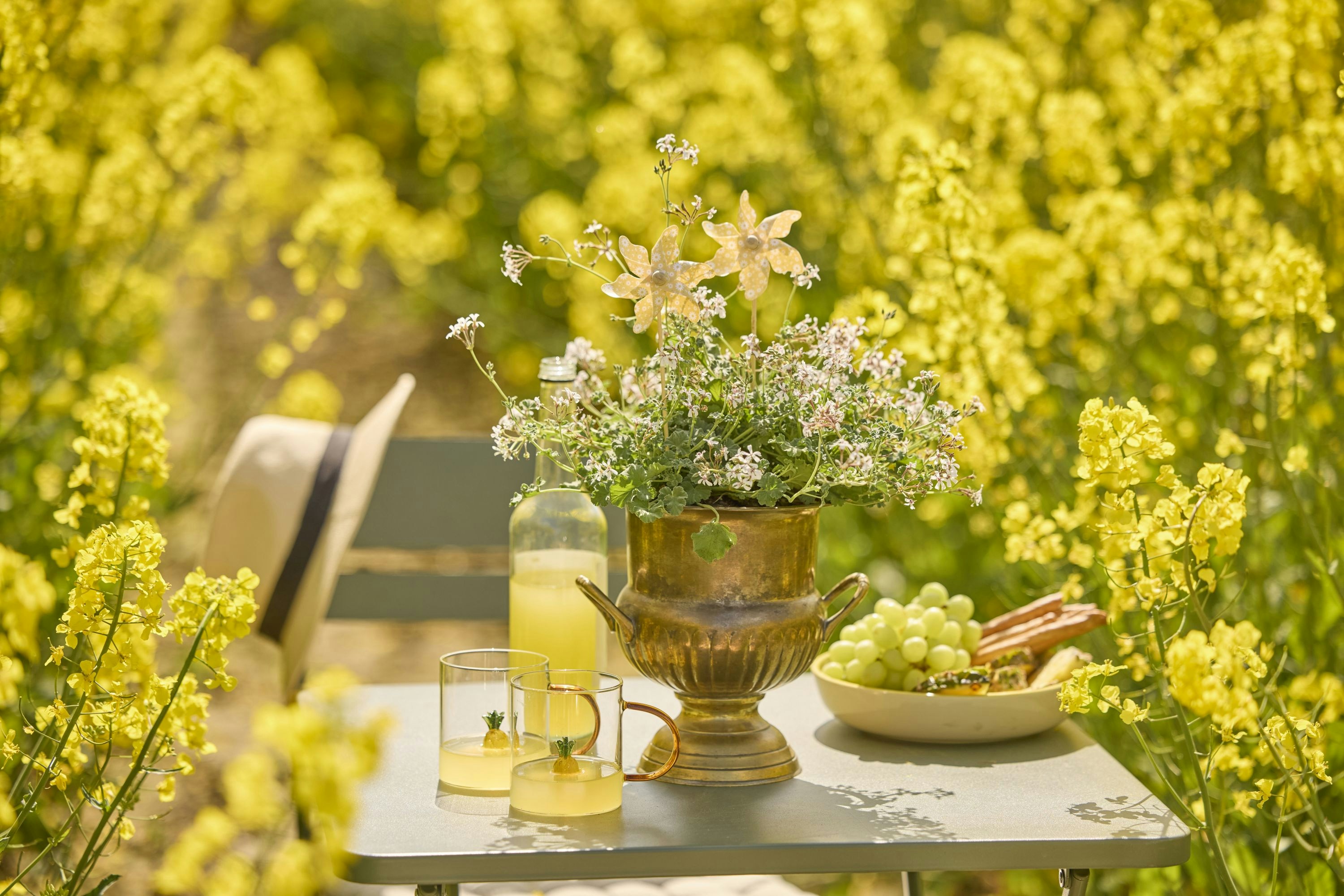 Table with flowers and lemonade surrounded by vibrant yellow blossoms