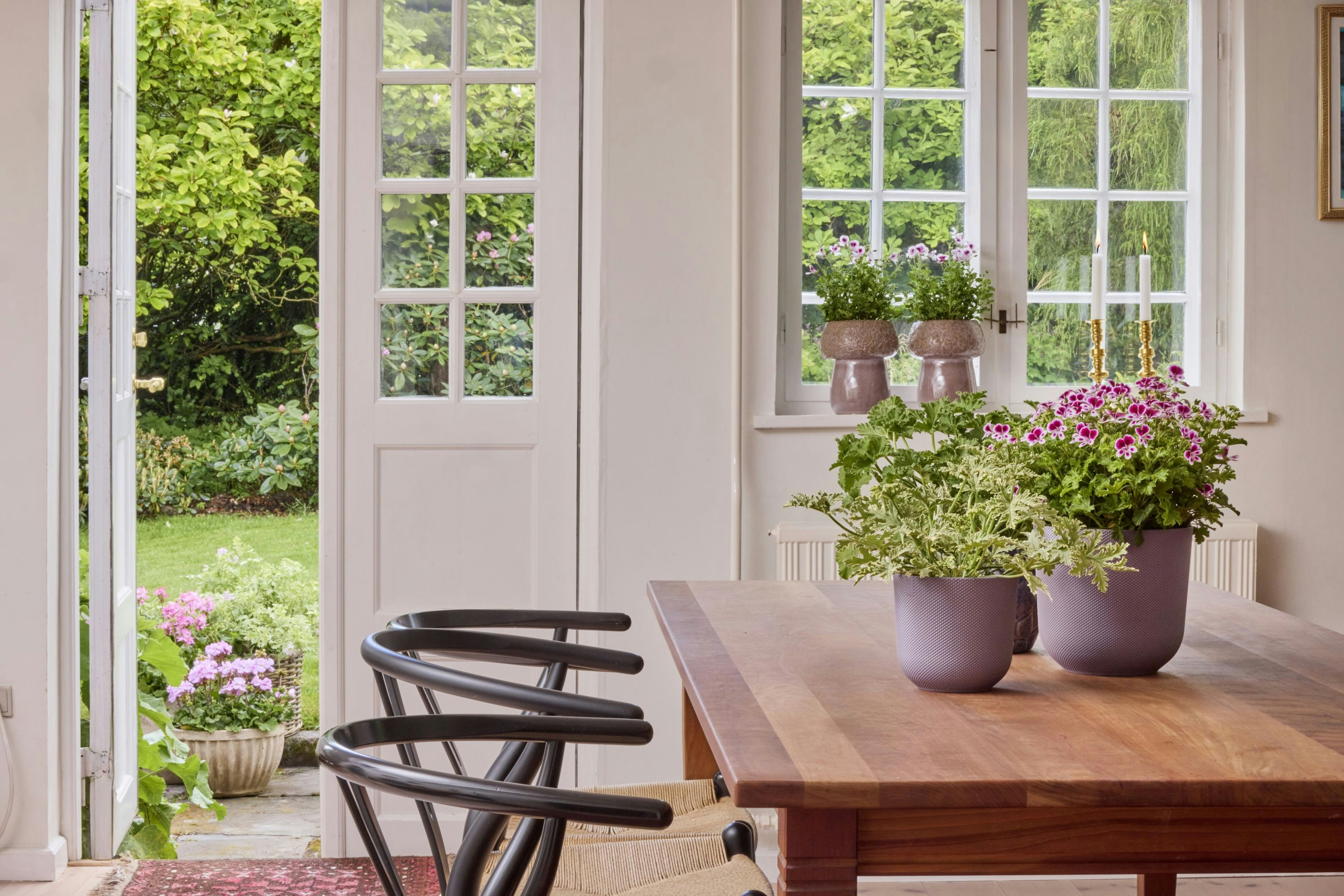 Potted plants on a dining table with a garden view