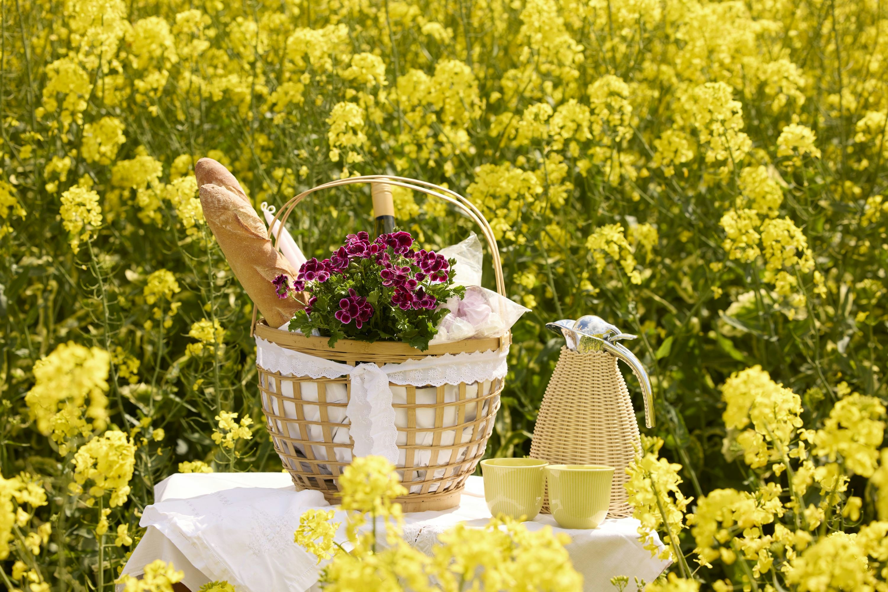 Picnic basket with flowers and bread in a yellow field