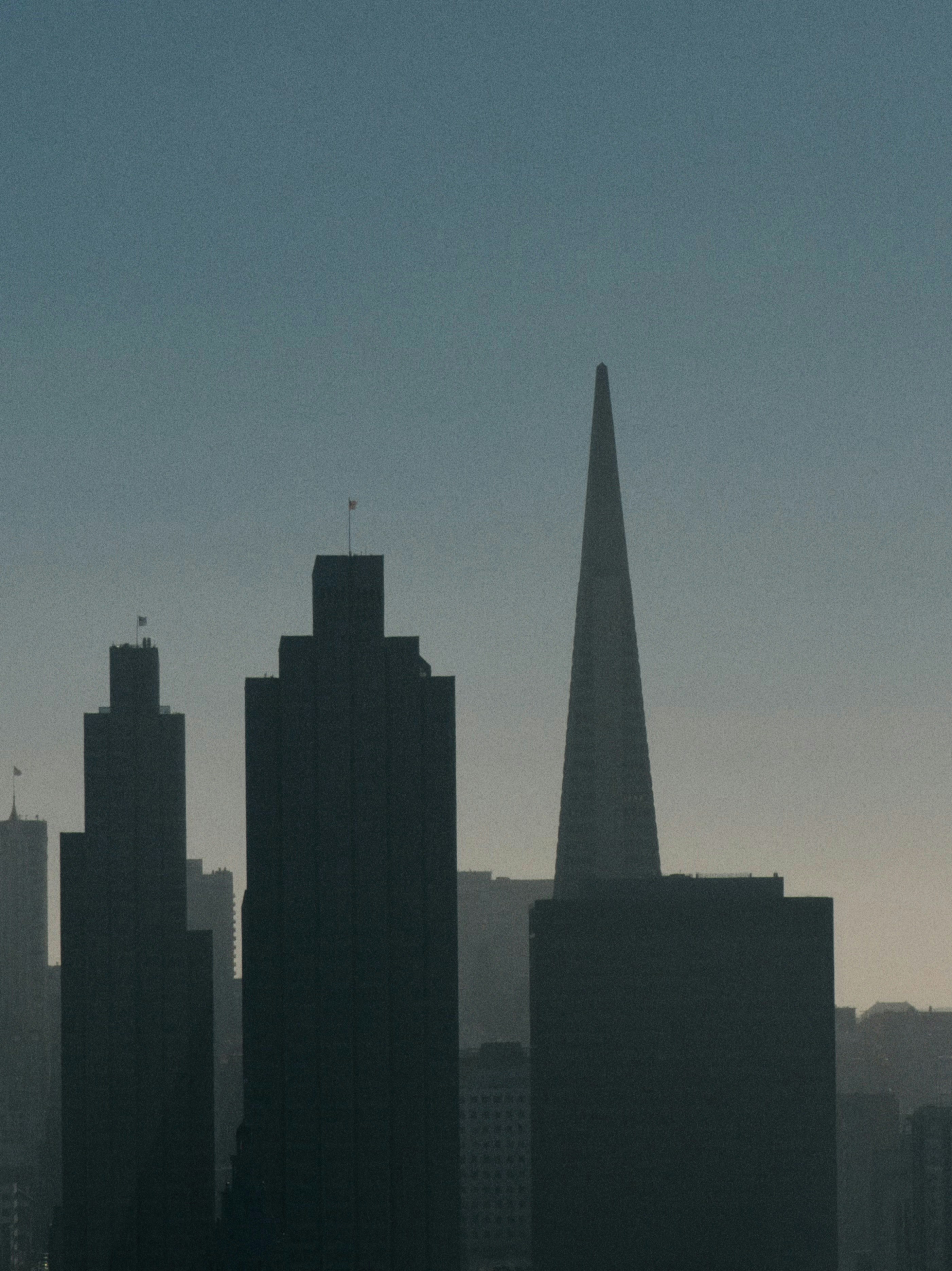 Transamerica pyramid and city skyline in silhouette