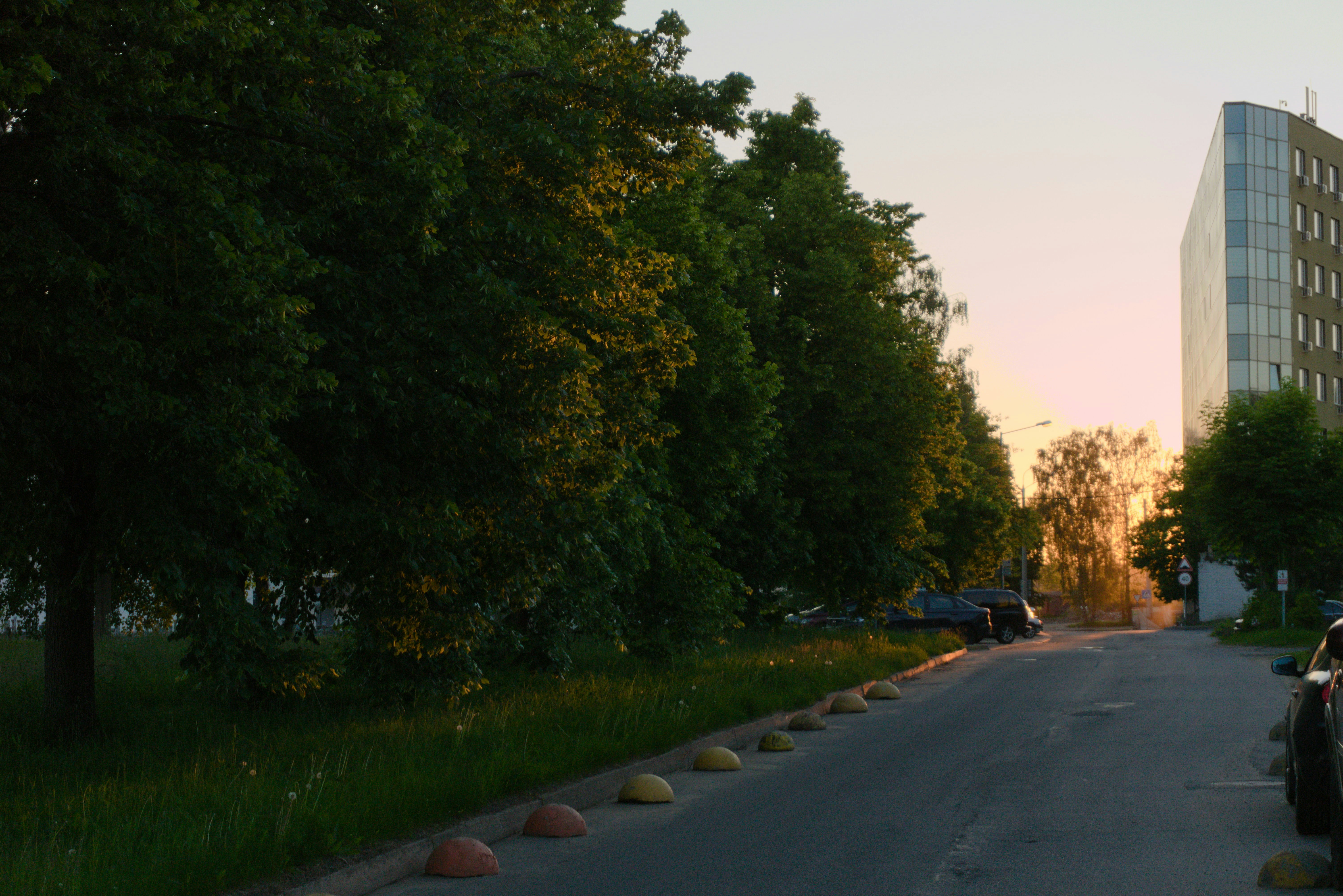 Road lined with trees beside a building at sunset