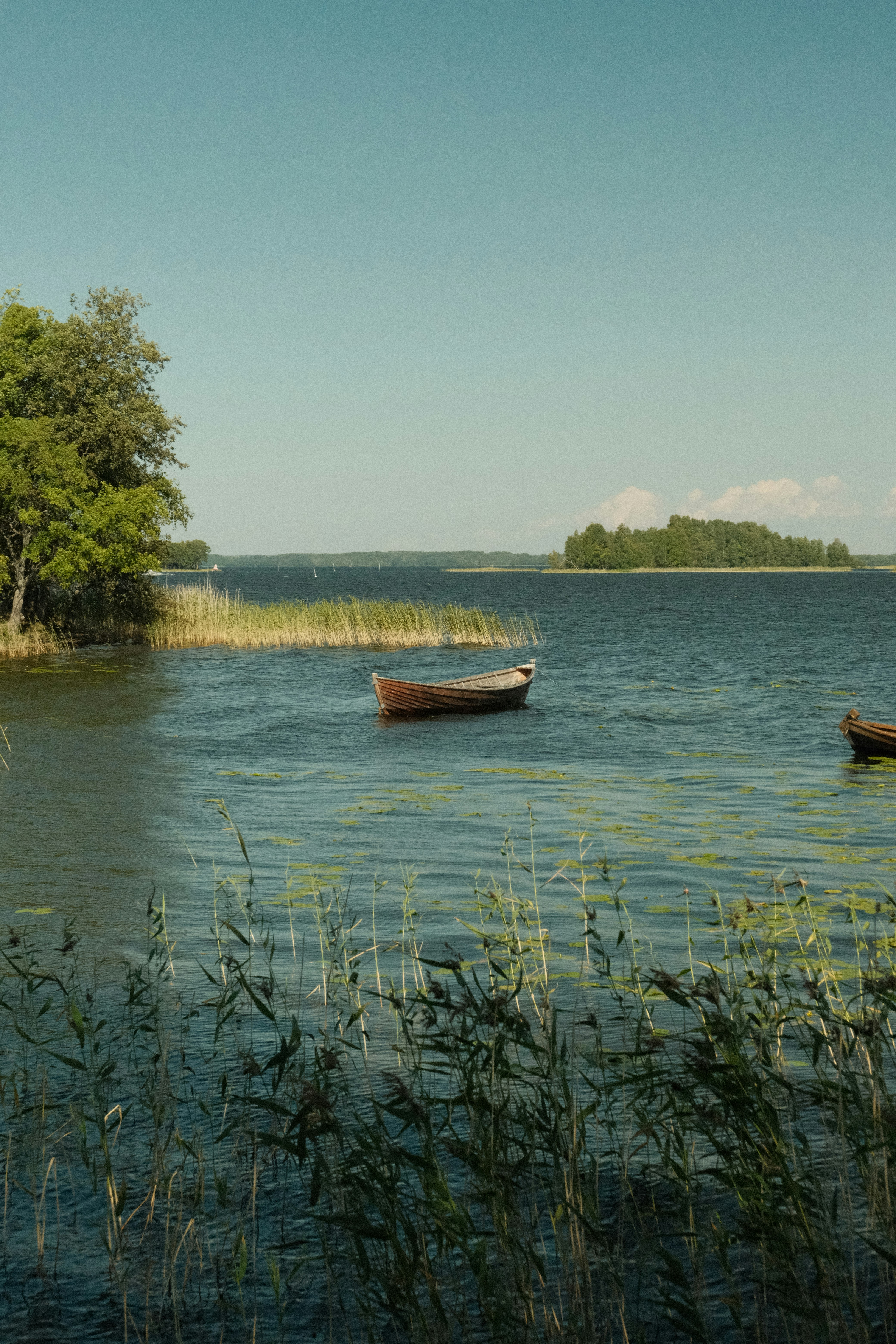Wooden boat on a lake with reeds and distant islands.