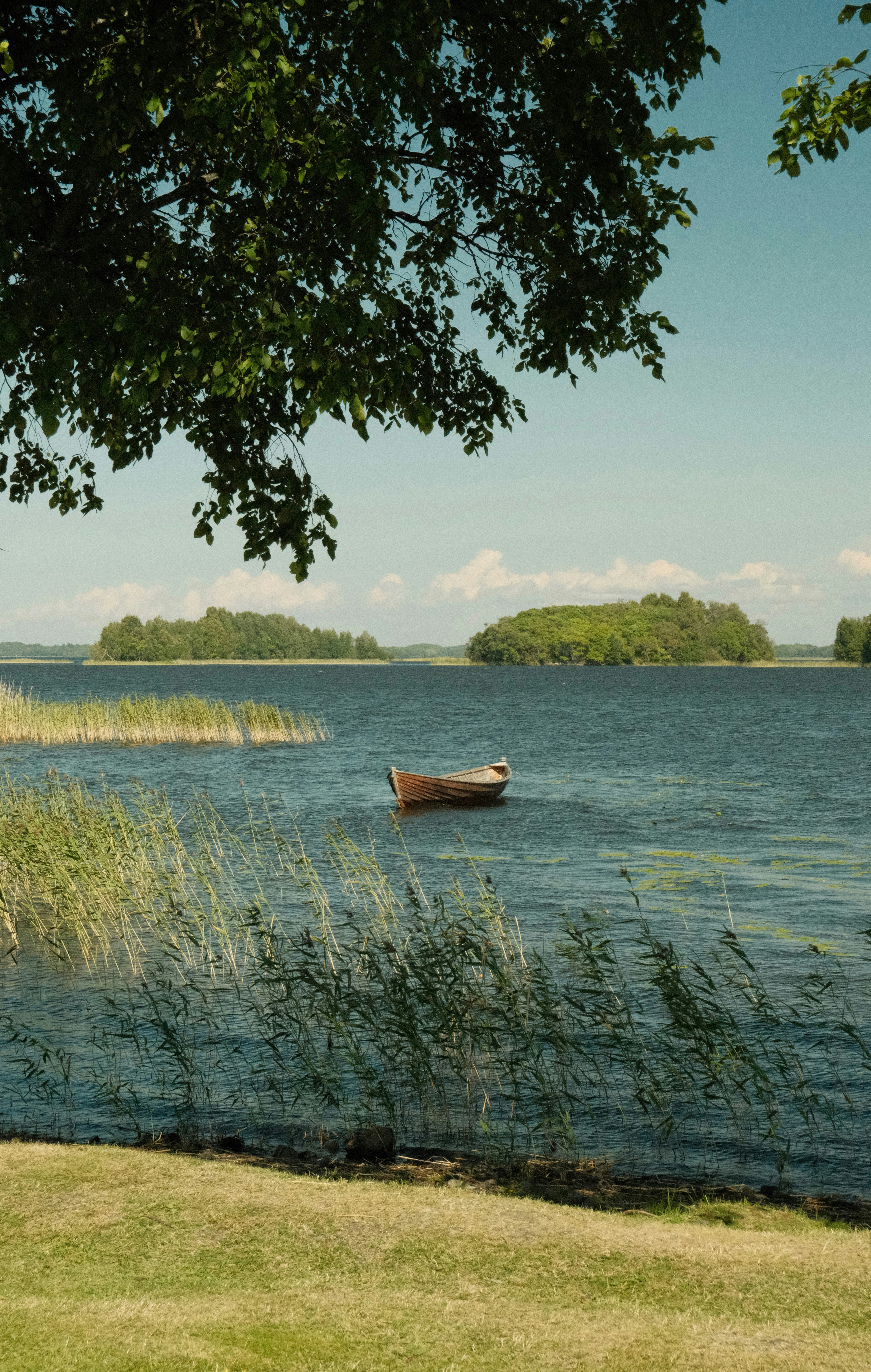 A tranquil lake with a boat, reeds, and tree-covered islands.