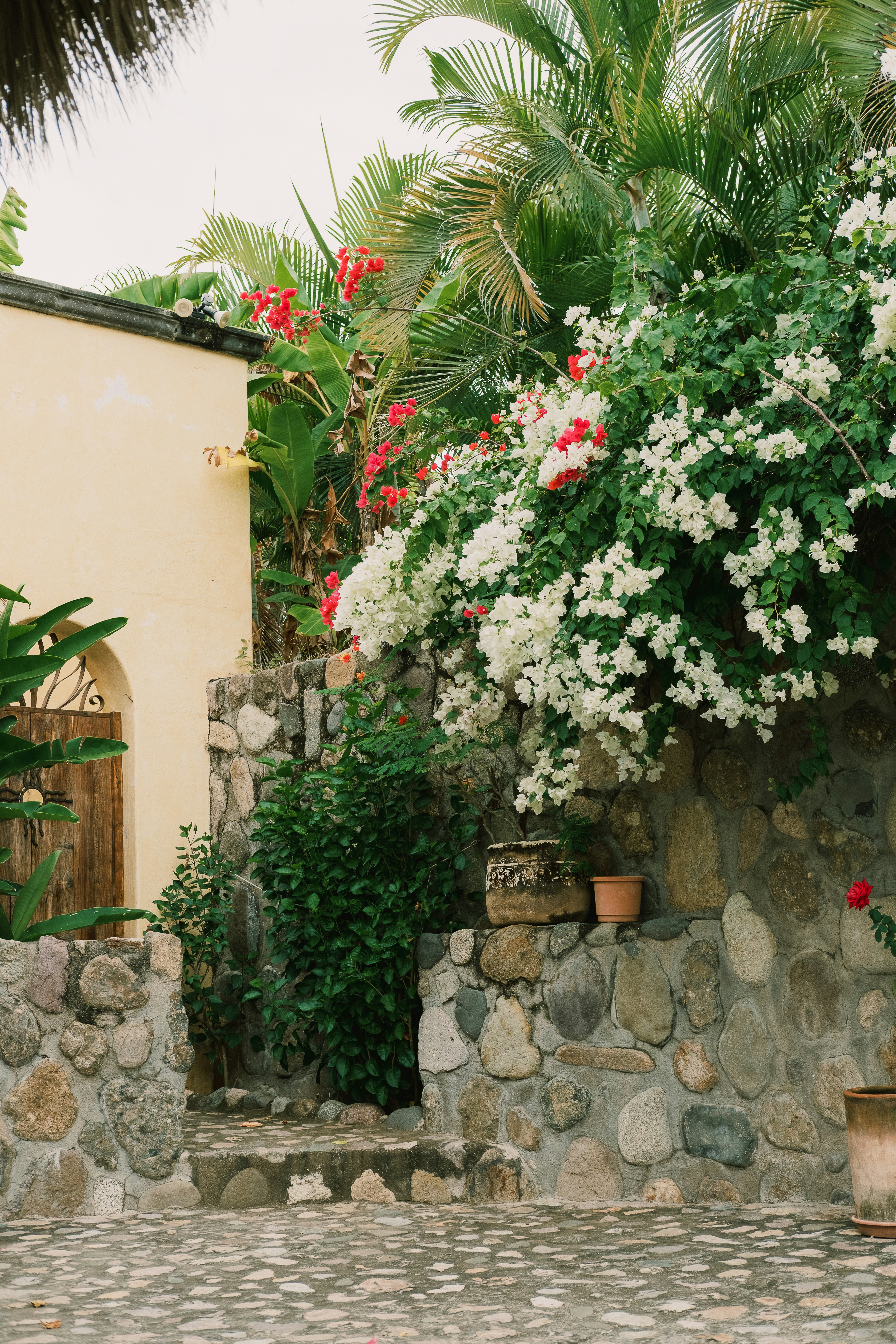 Muri di pietra, gradini e vivaci fiori di bougainville con piante tropicali.