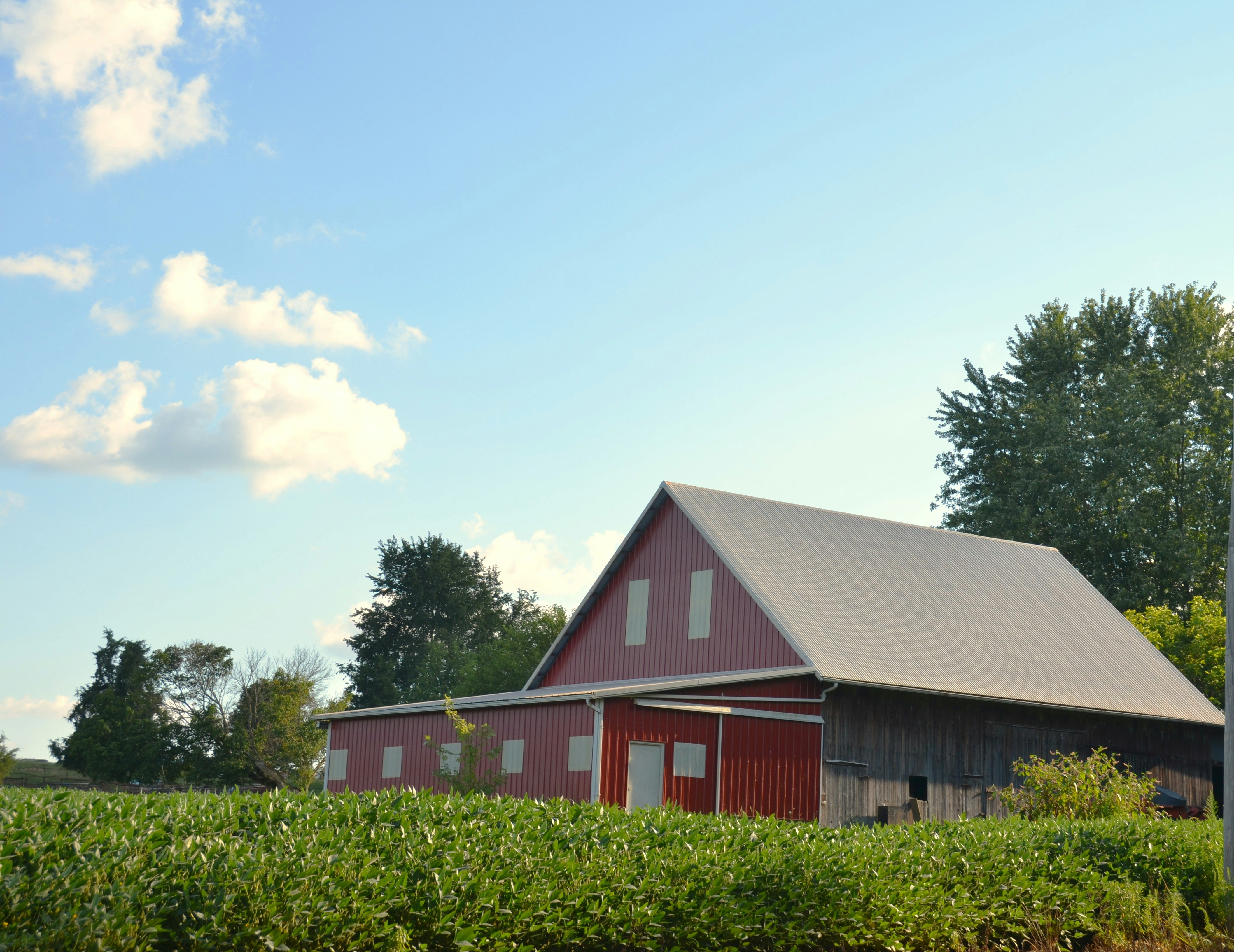 A red barn in a green field with trees.