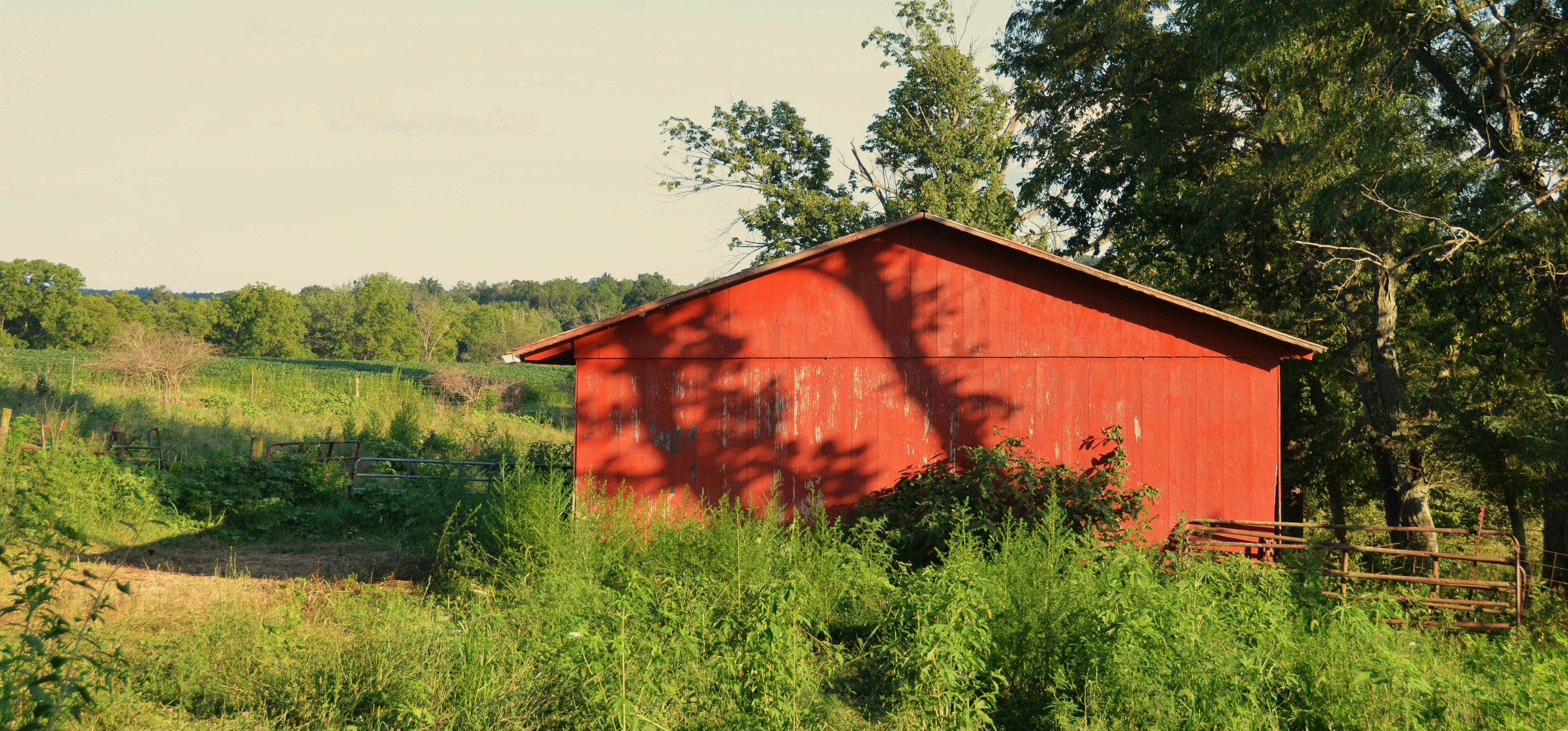Red barn nestled among green fields and trees.