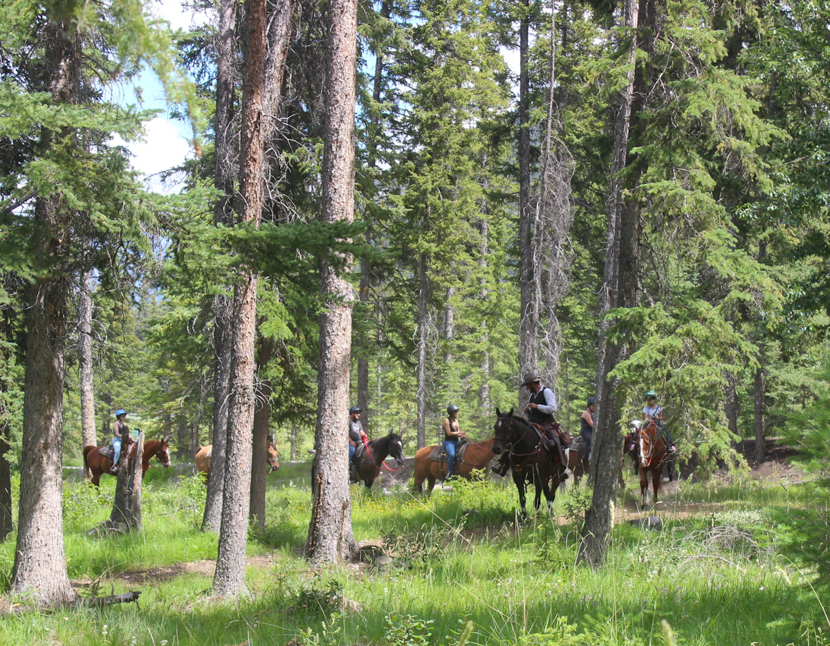 Rancho Hípico El Ejemplo