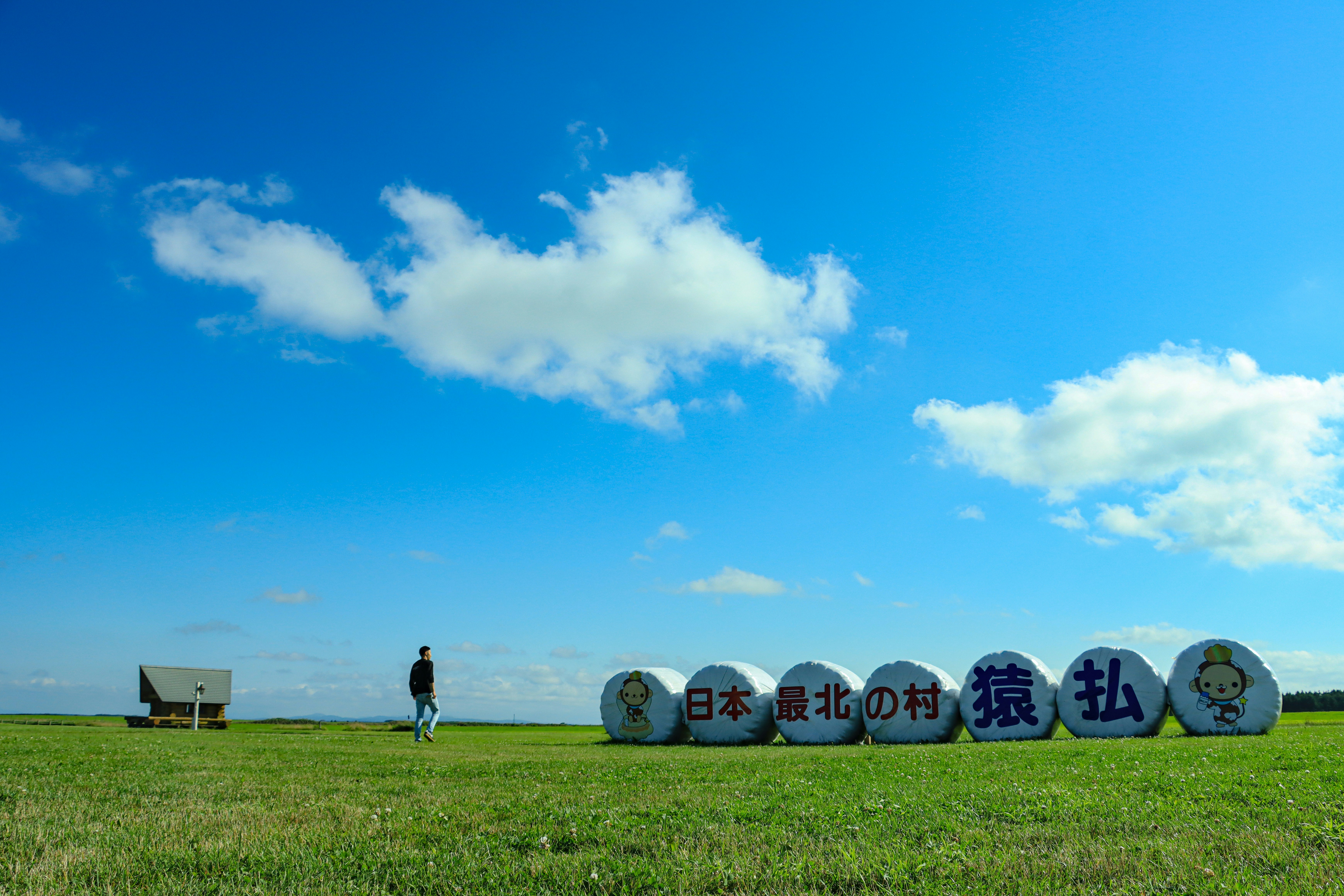 Person walking past painted hay bales in a green field