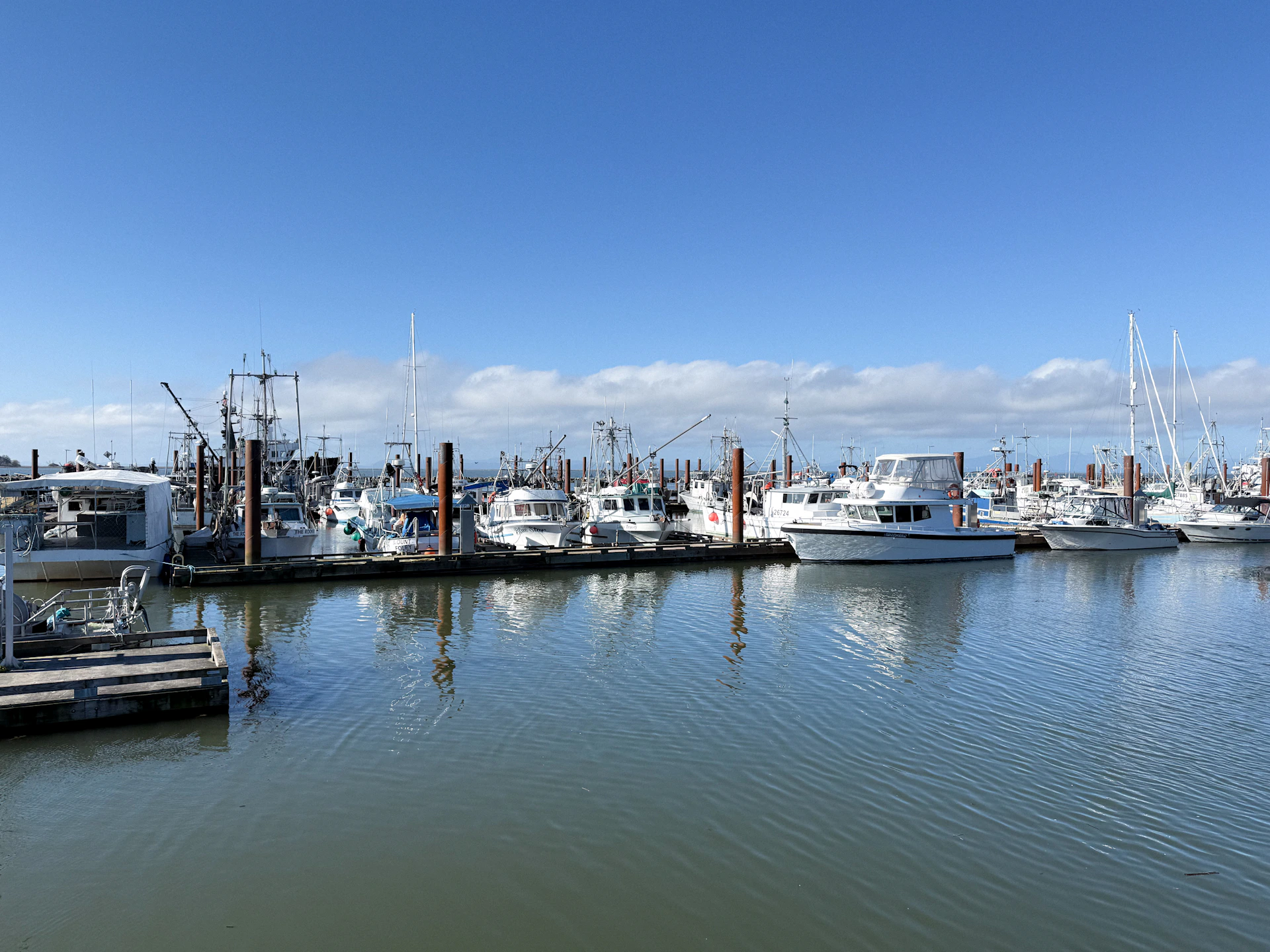 Boats docked in a marina under a blue sky.