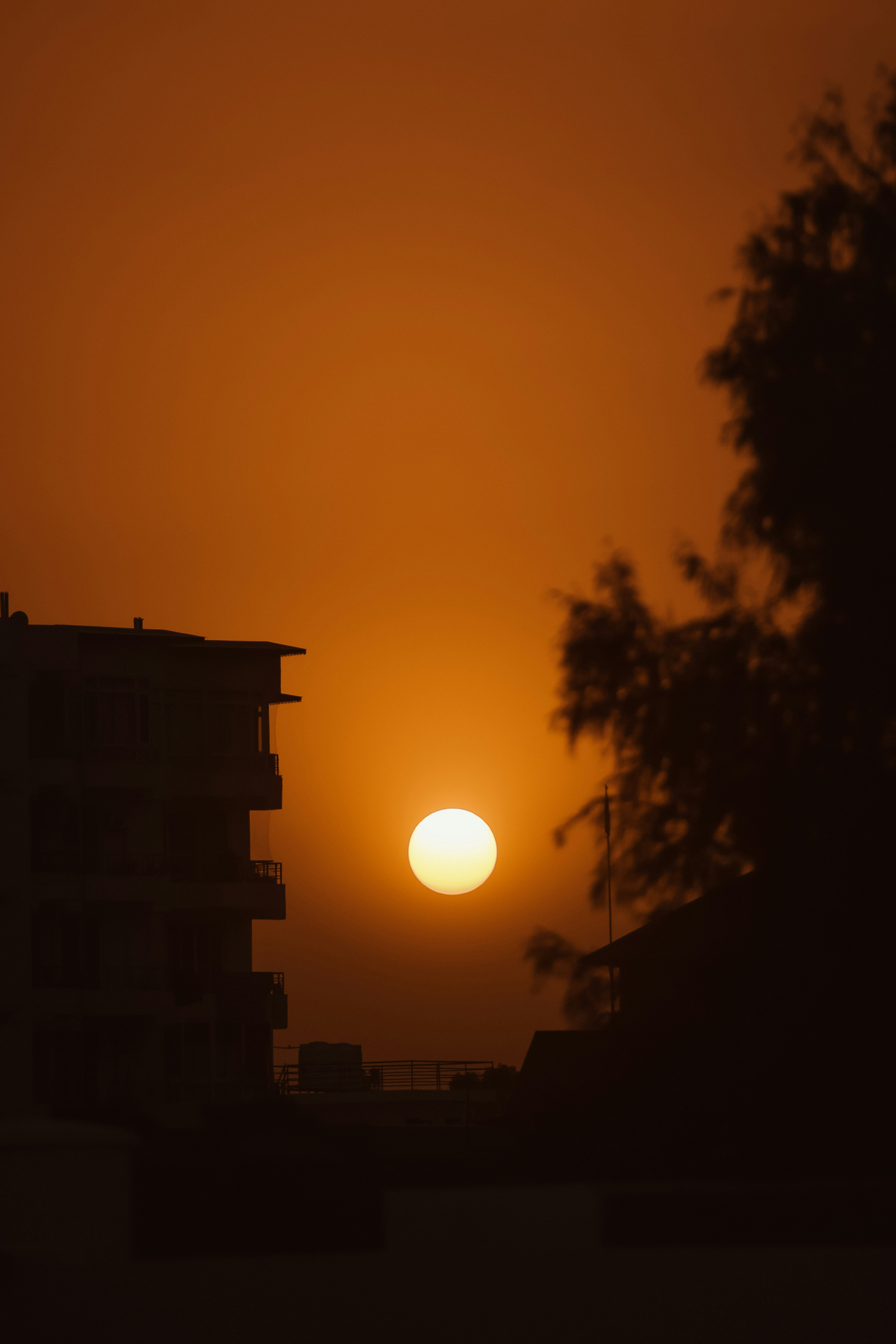 A bright orange sun sets behind silhouetted buildings and trees