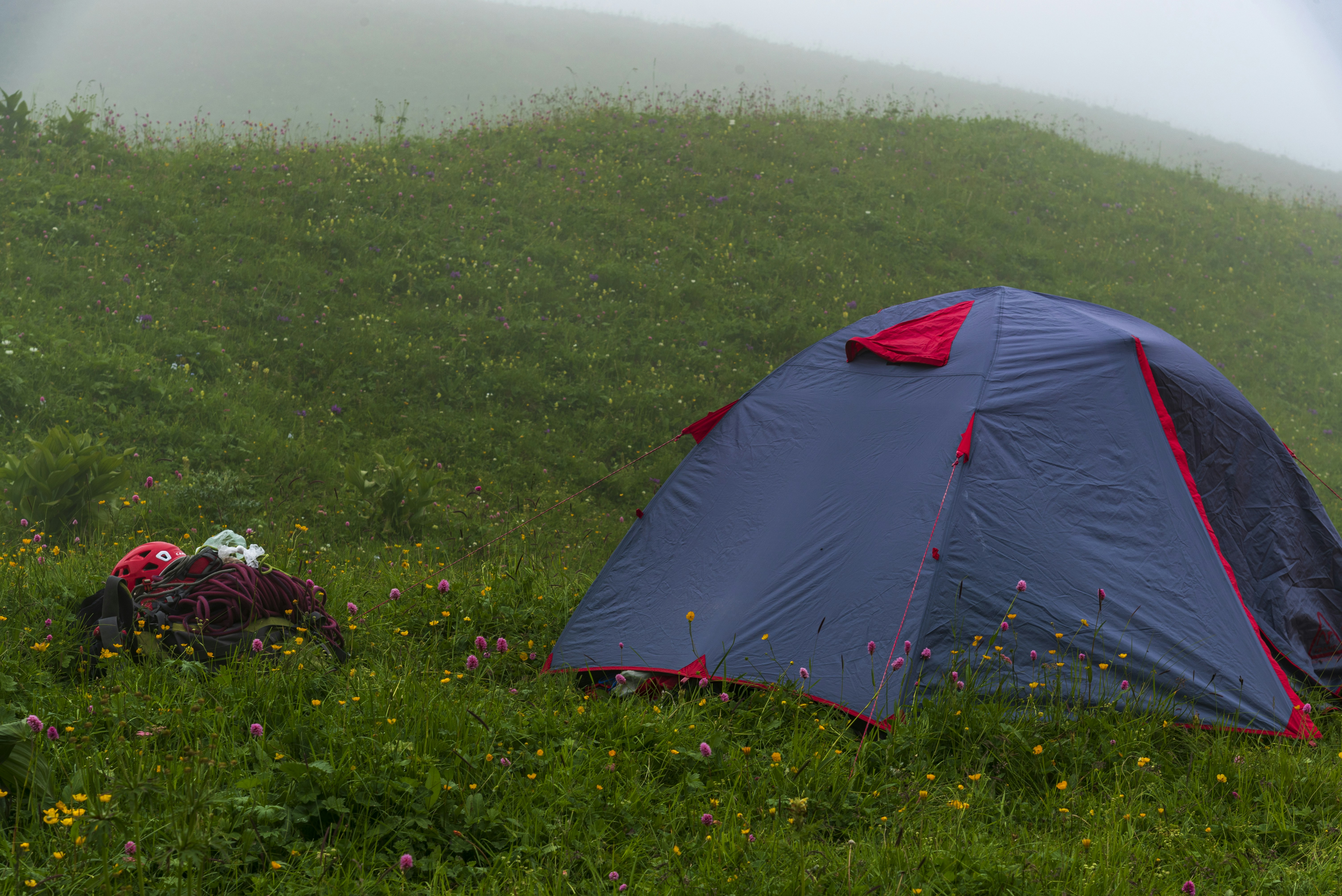 Tente bleue sur une colline vert brumeuse avec du matériel de camping