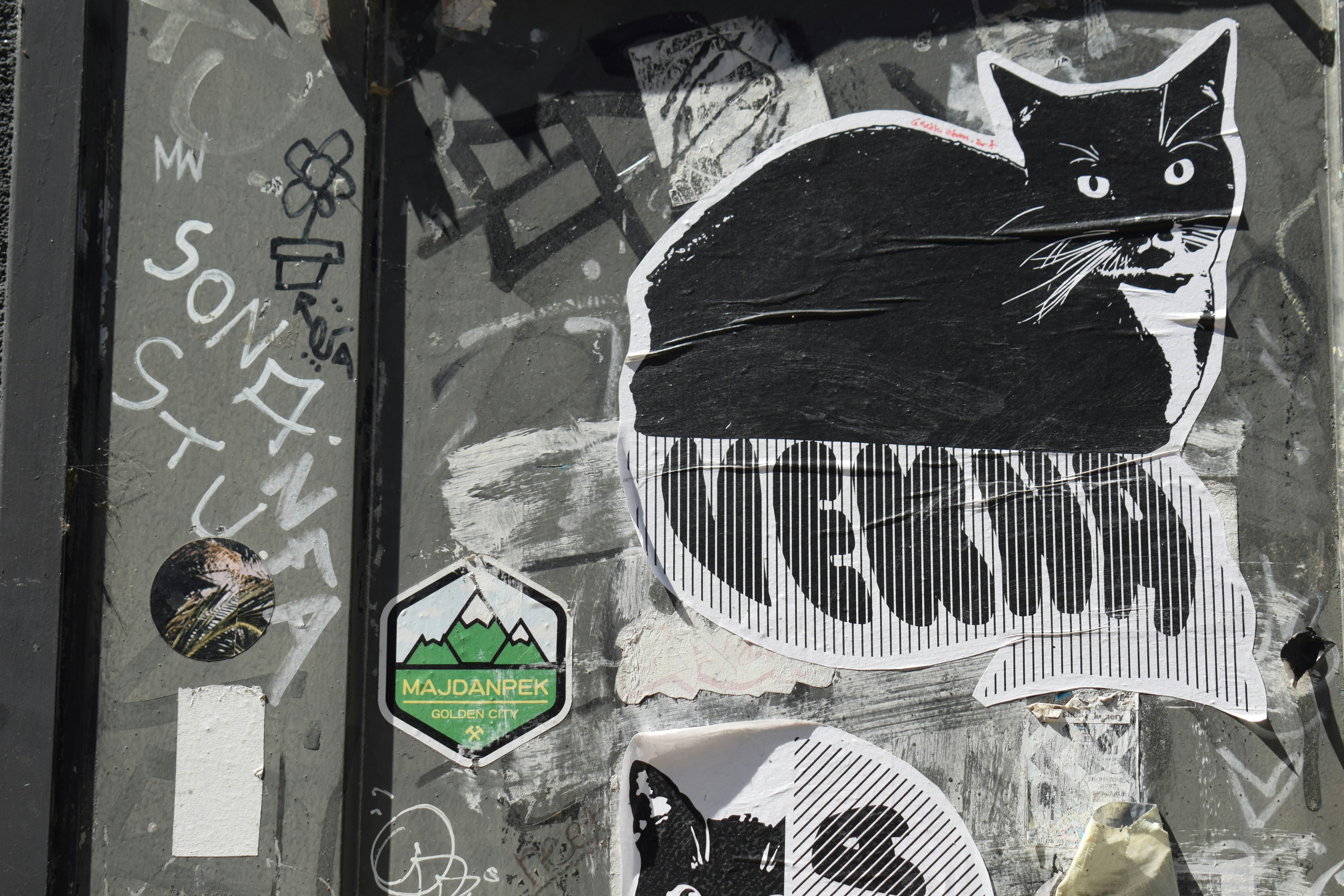 A black cat sticker on a graffiti-covered wall