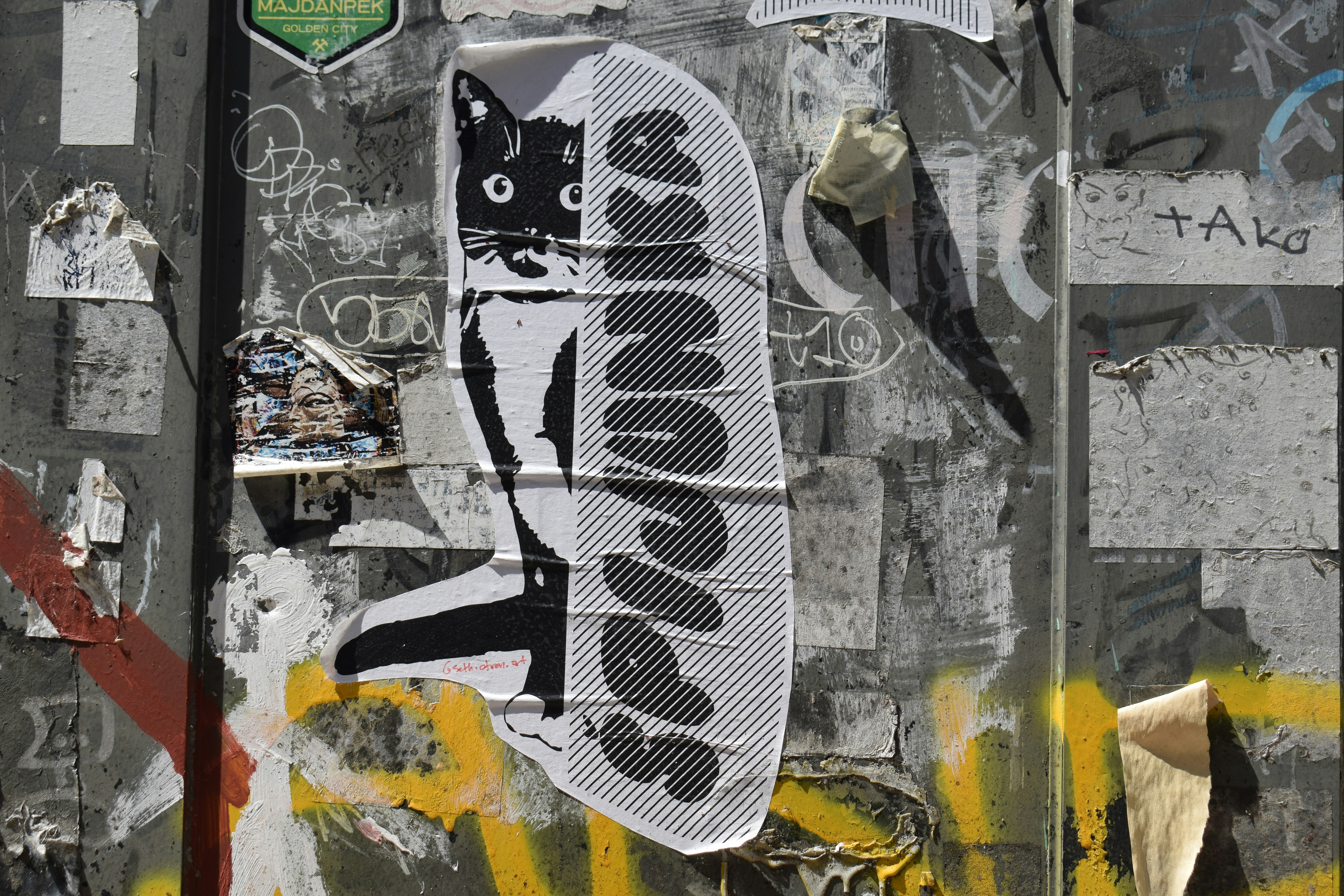 A black and white cat sticker on a graffiti-covered wall