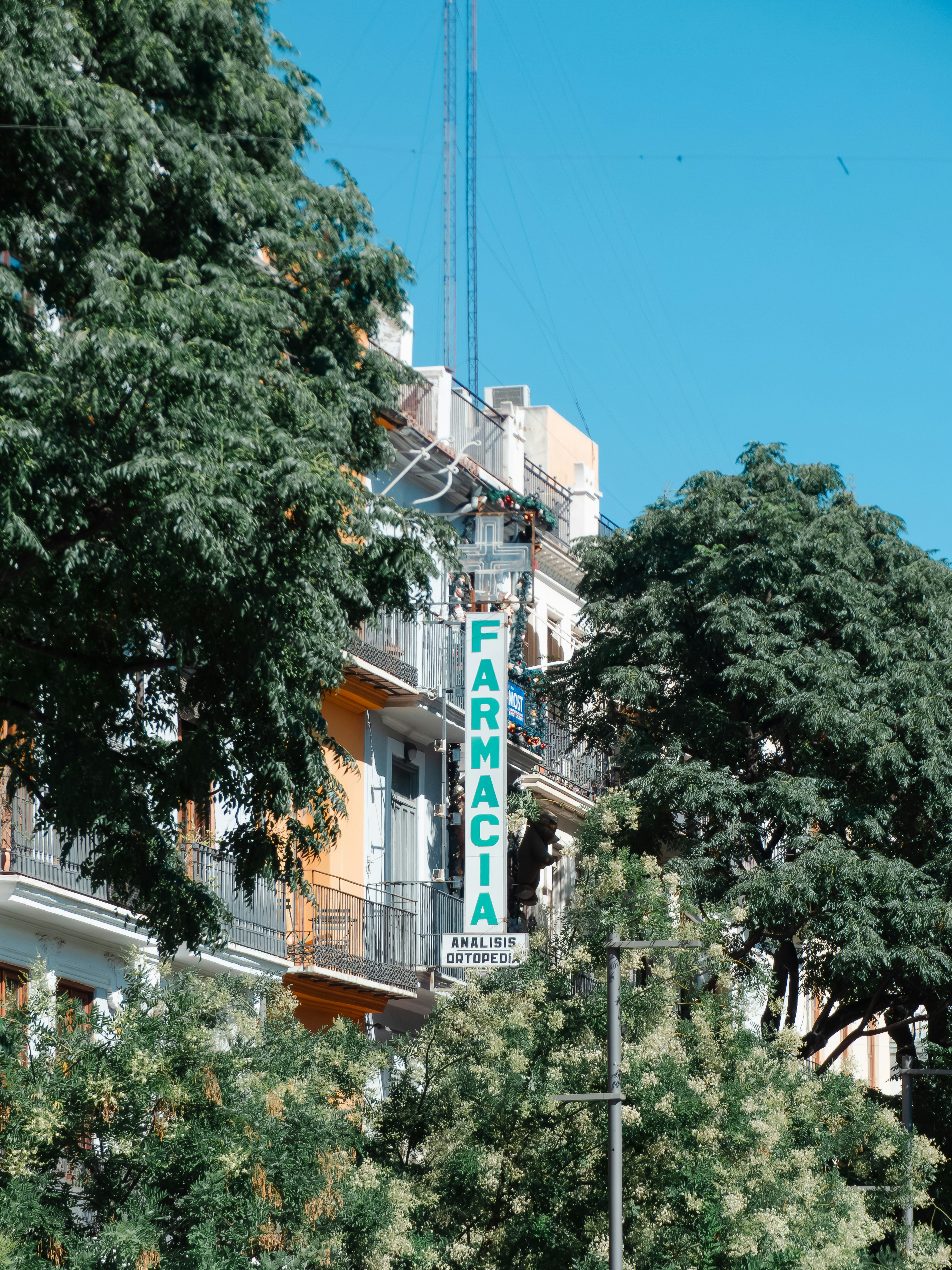 A vertical sign reading "FARMACIA" on a building facade framed by leafy green trees